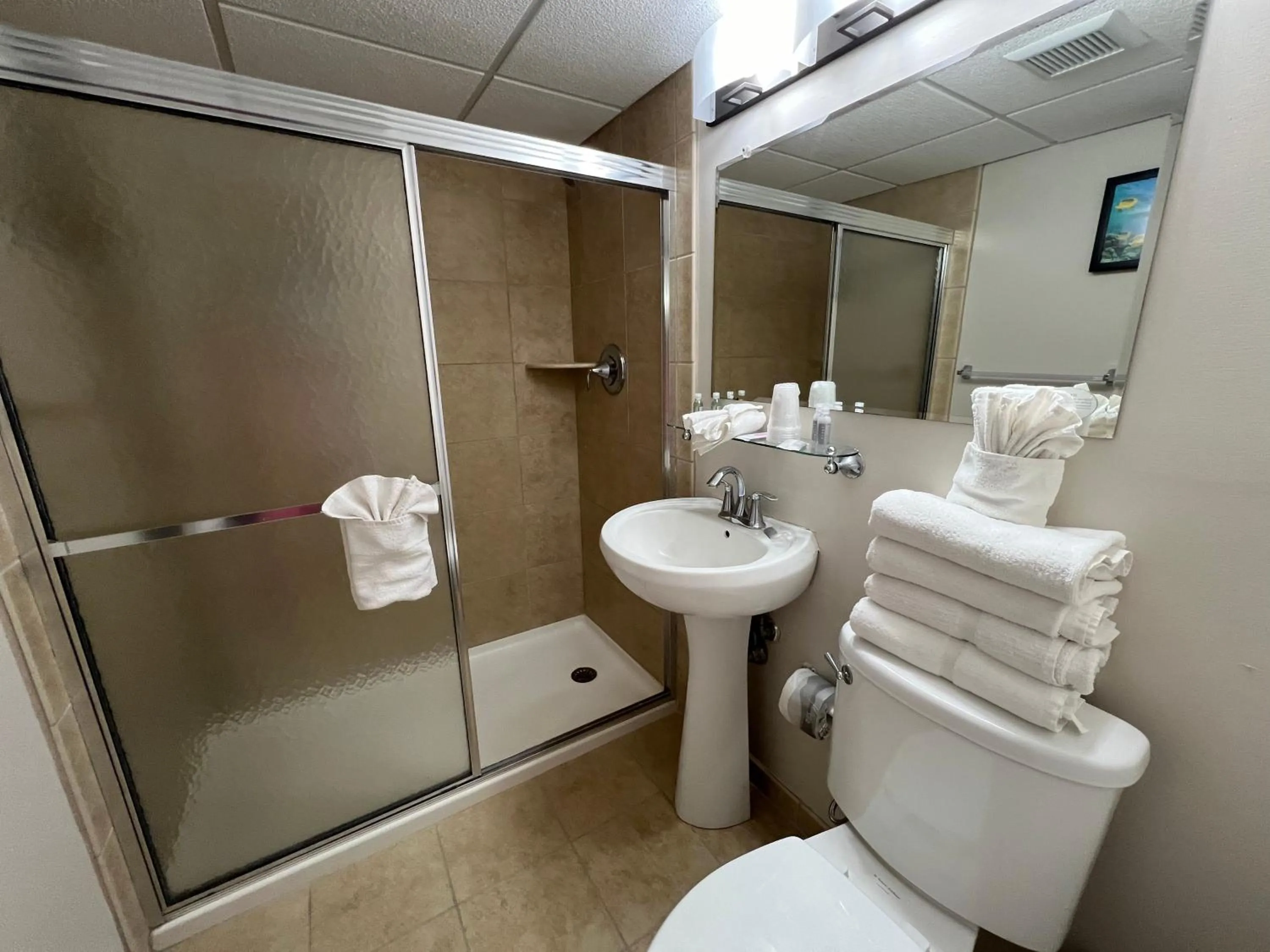 Toilet in El Coronado Resort