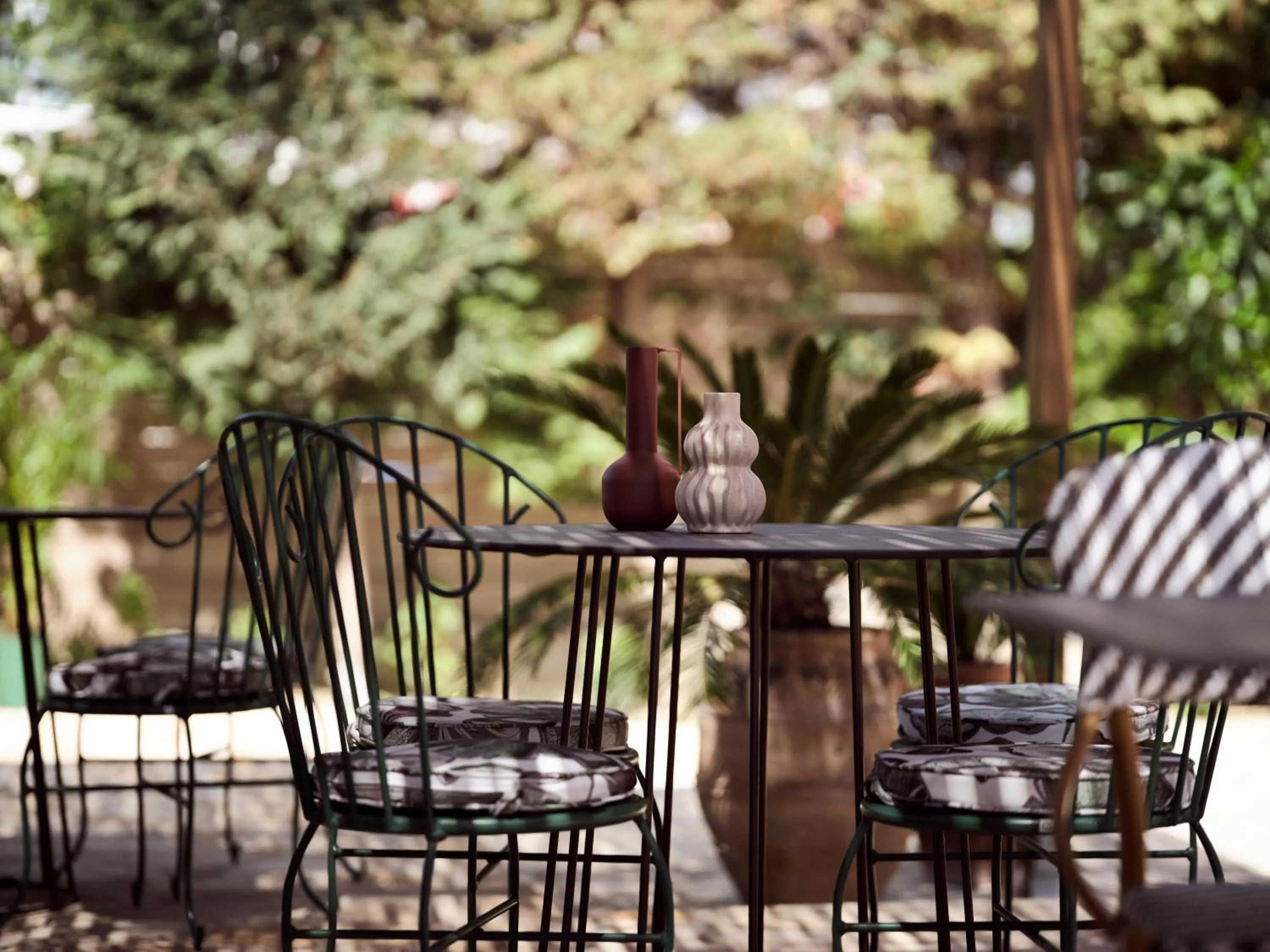 Day in Anemelia Retreat - Explore & Recharge
