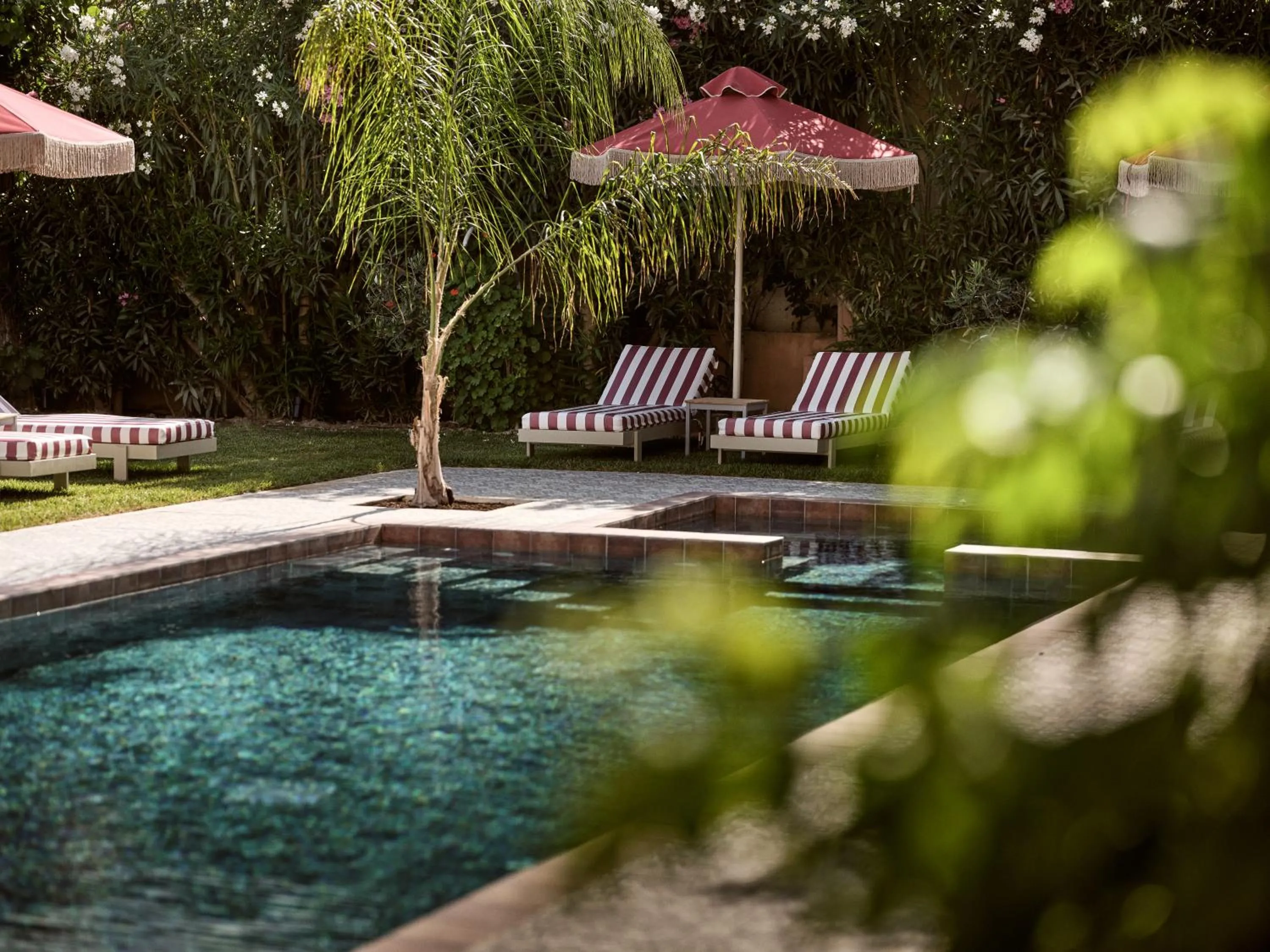 Day in Anemelia Retreat - Explore & Recharge