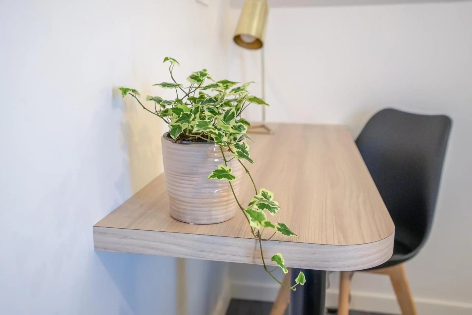 Property building in Logis, Hôtel Au Chêne Vert, Saint-Brieuc Nord
