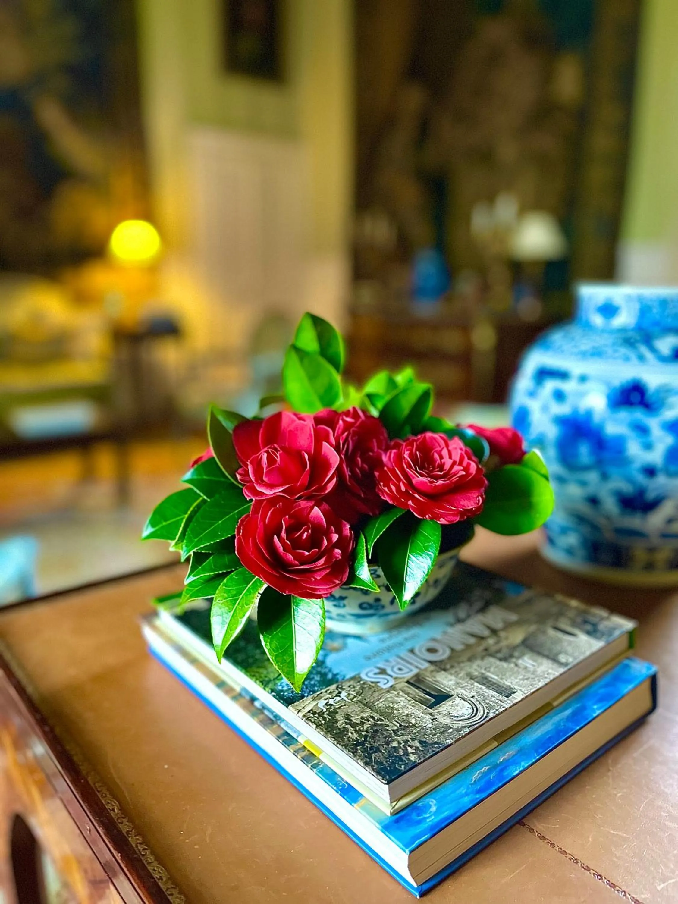 Property building in Château de Cadouzan