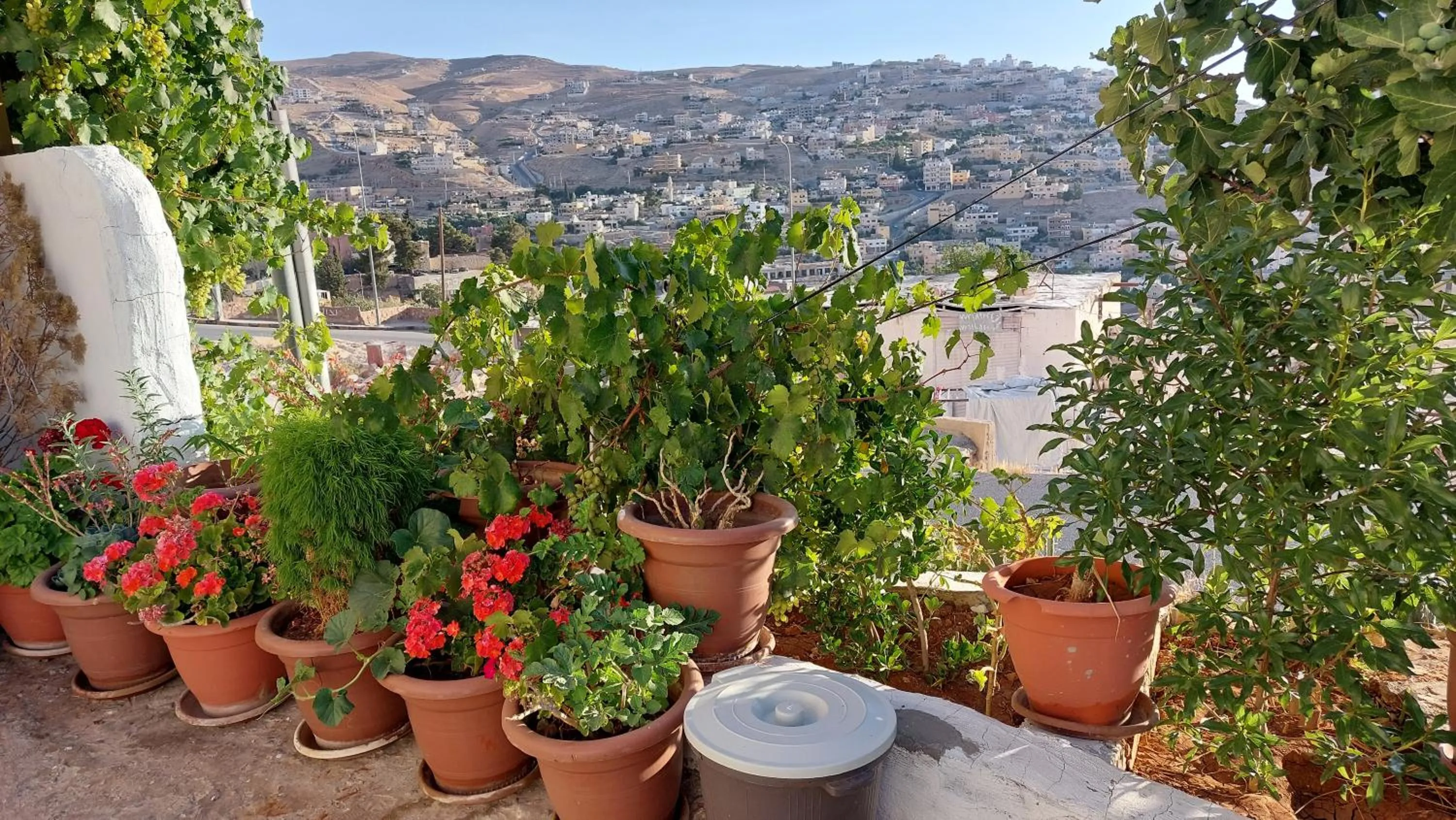 View (from property/room) in Petra Guests Hotel