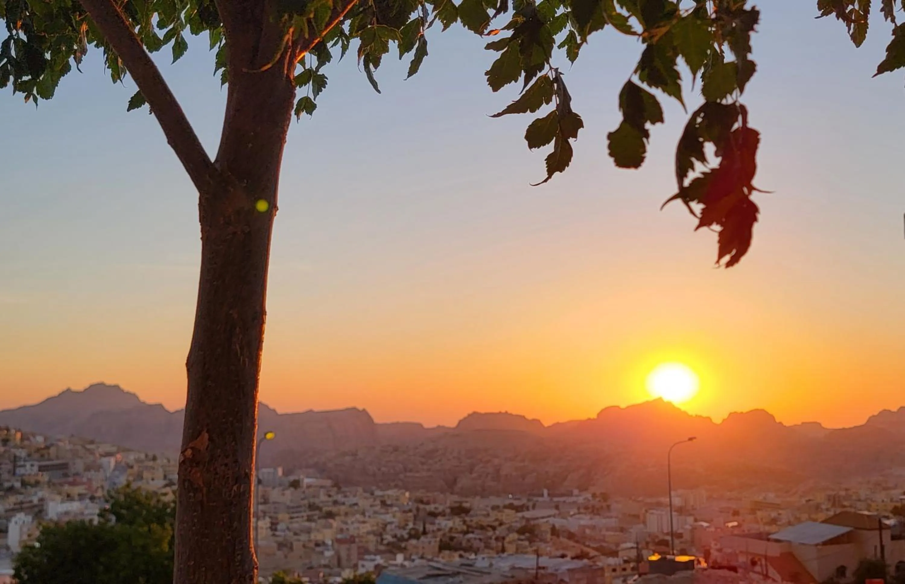View (from property/room) in Petra Guests Hotel