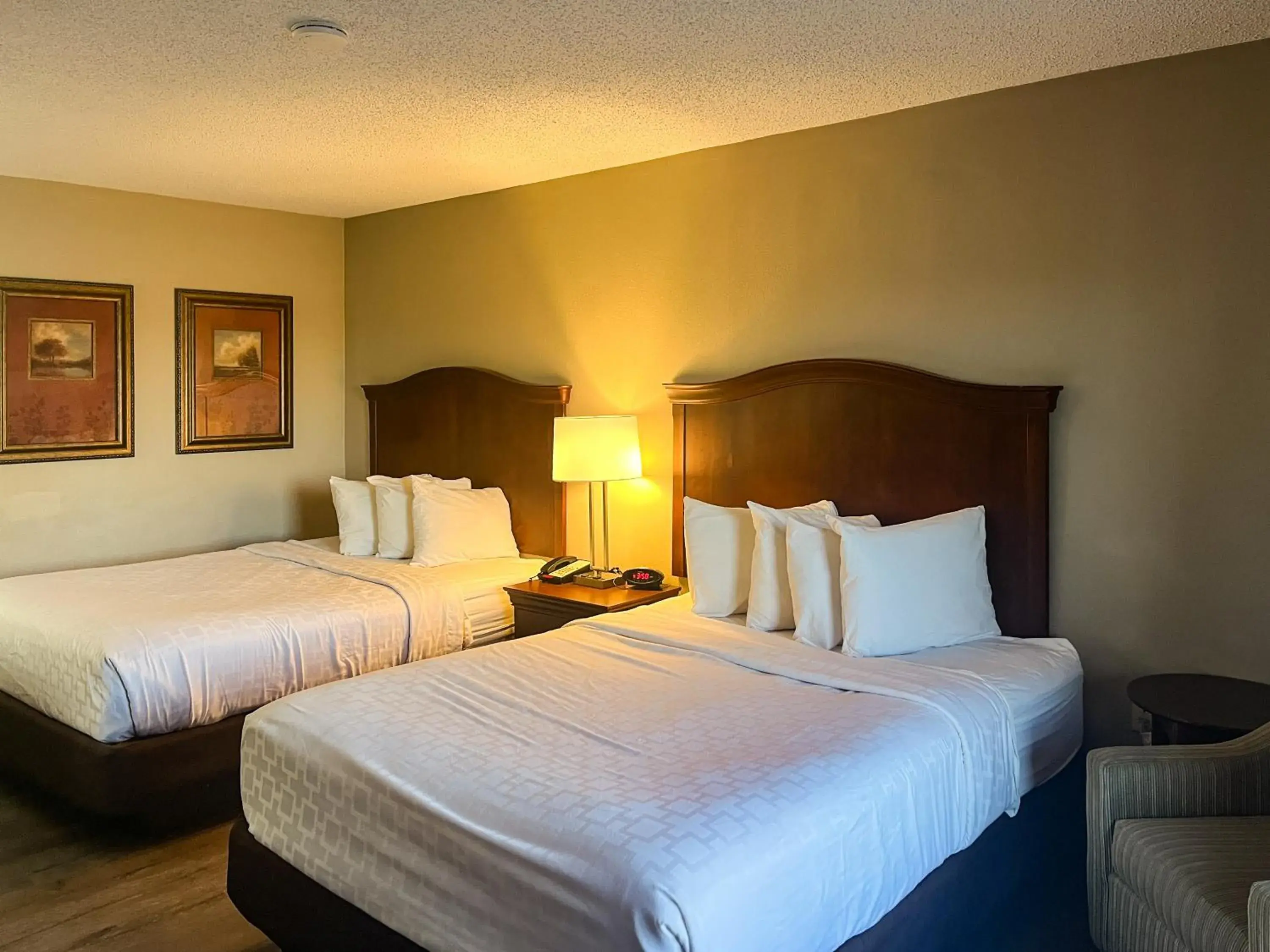 Photo of the whole room, Bed in Best Western Aquia Quantico Photo of the whole room, Bed in Best Western Aquia Quantico