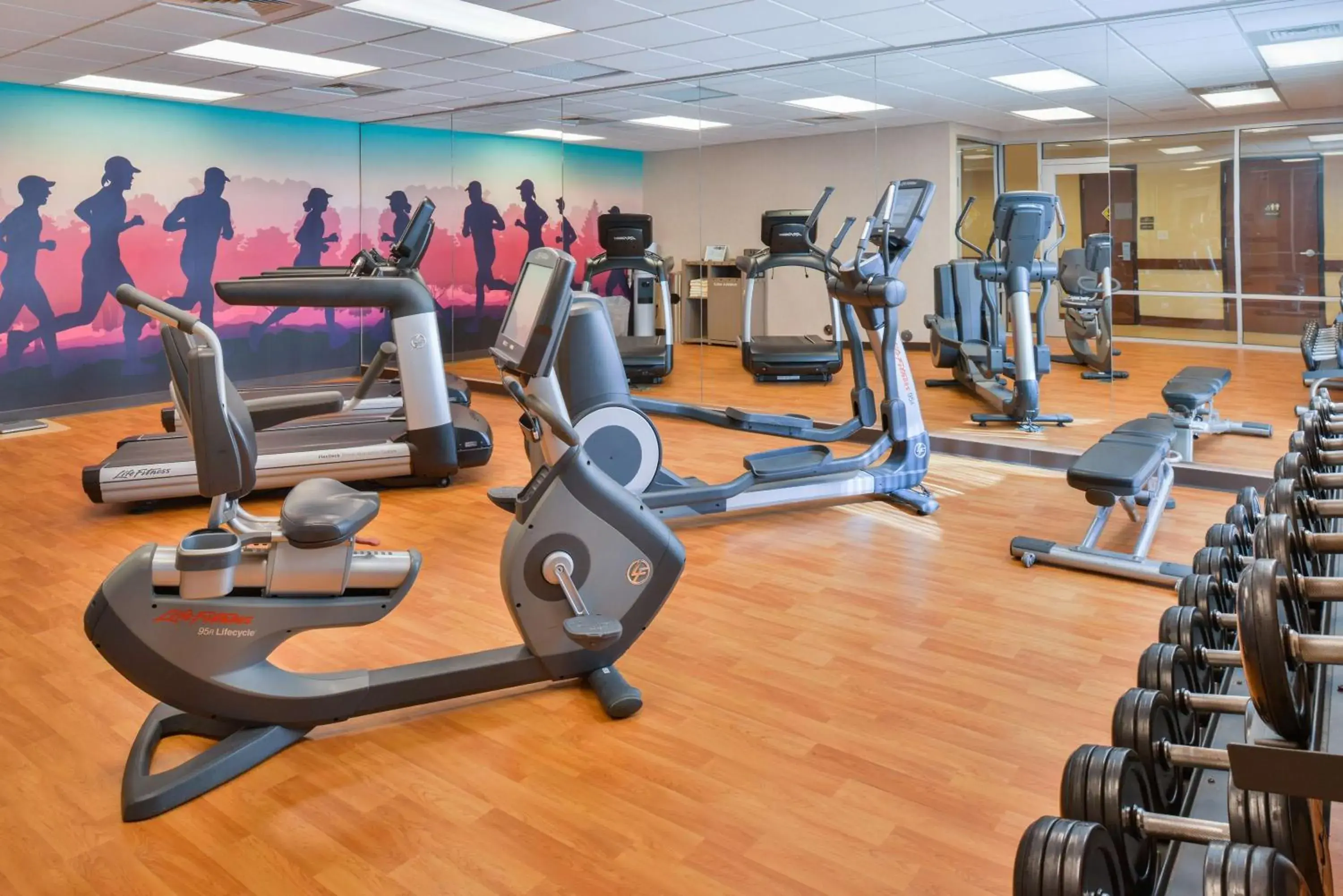 Fitness centre/facilities in Hyatt Place Chesapeake Fitness centre/facilities in Hyatt Place Chesapeake
