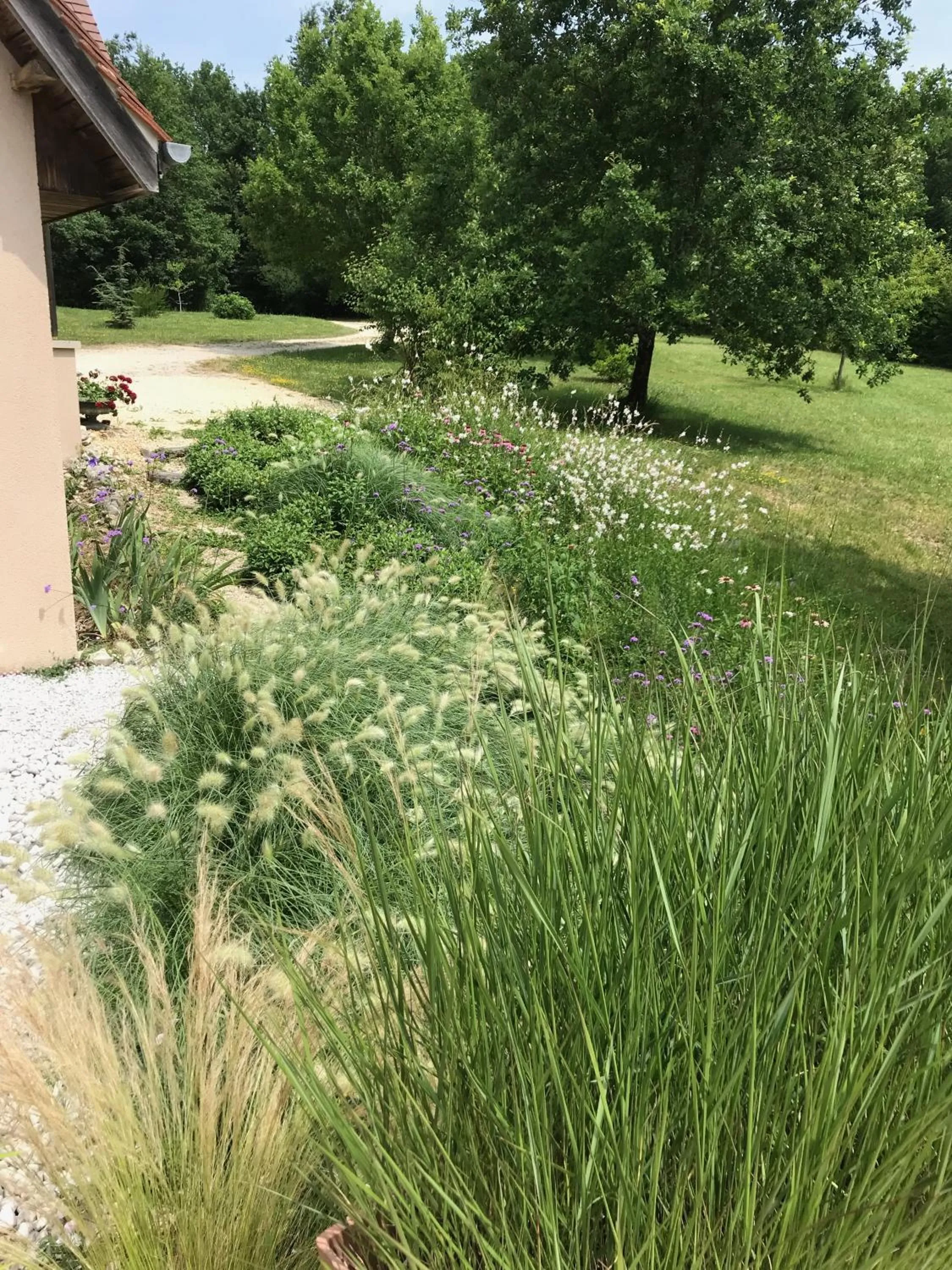 Garden in Chambre d'hôtes La Dentalie