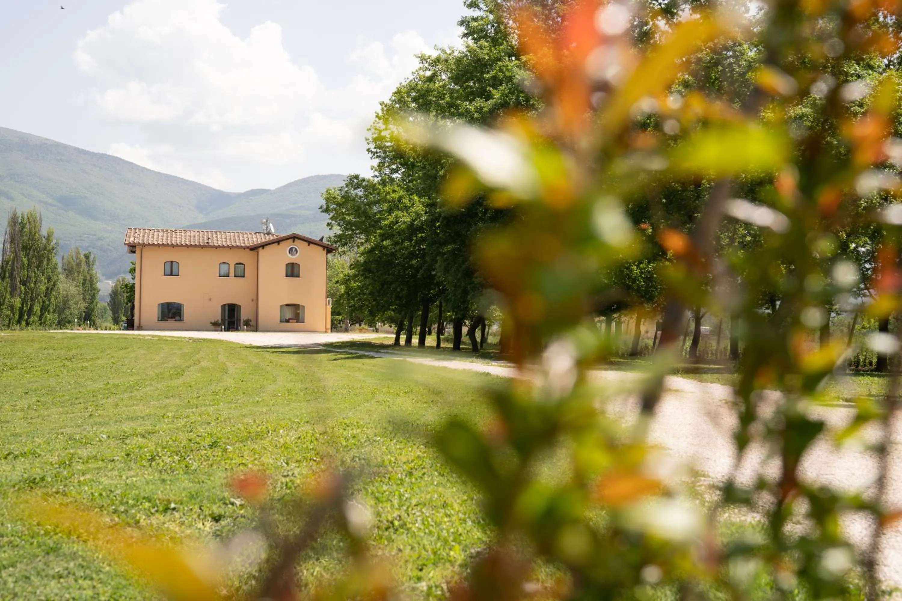 Garden in Il Castellaccio Bed & Breakfast