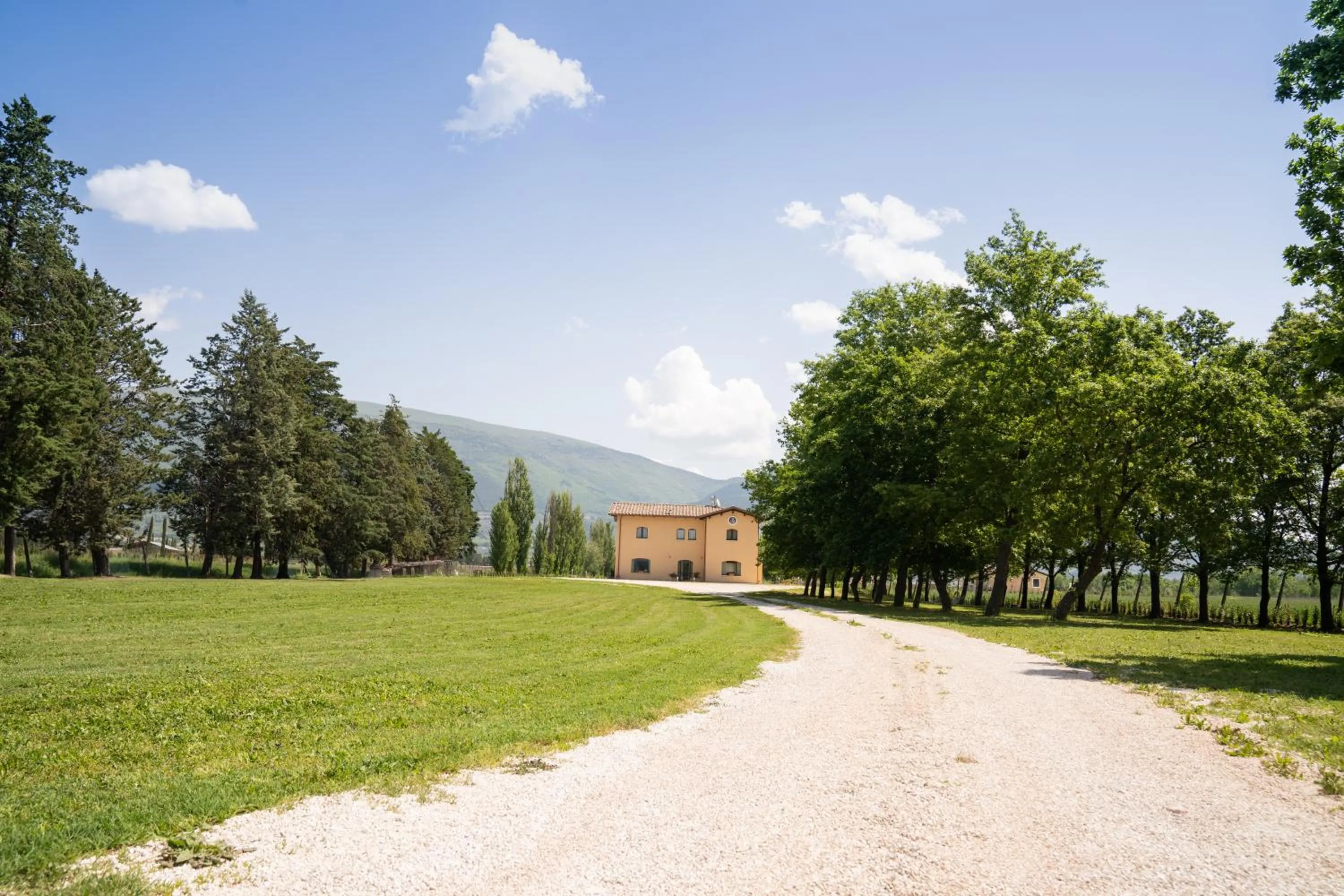 Garden in Il Castellaccio Bed & Breakfast