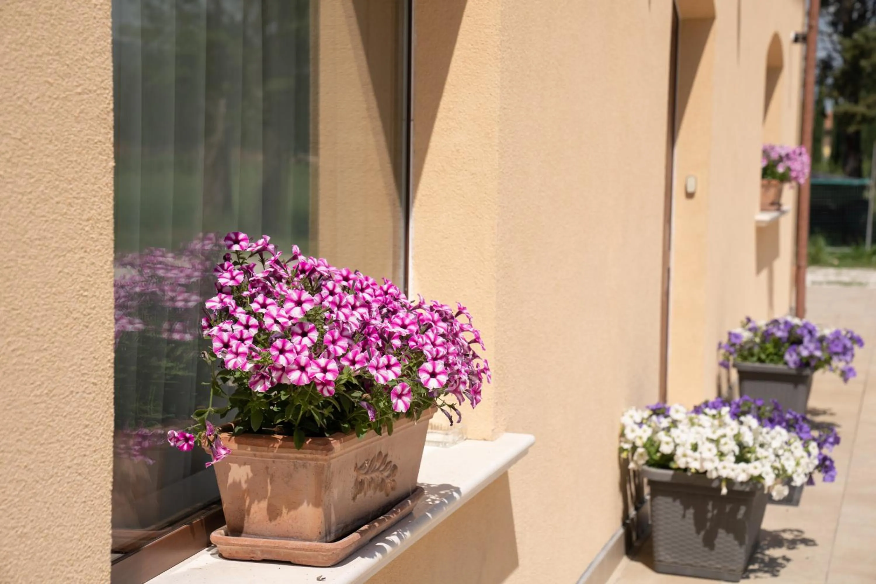 Decorative detail in Il Castellaccio Bed & Breakfast