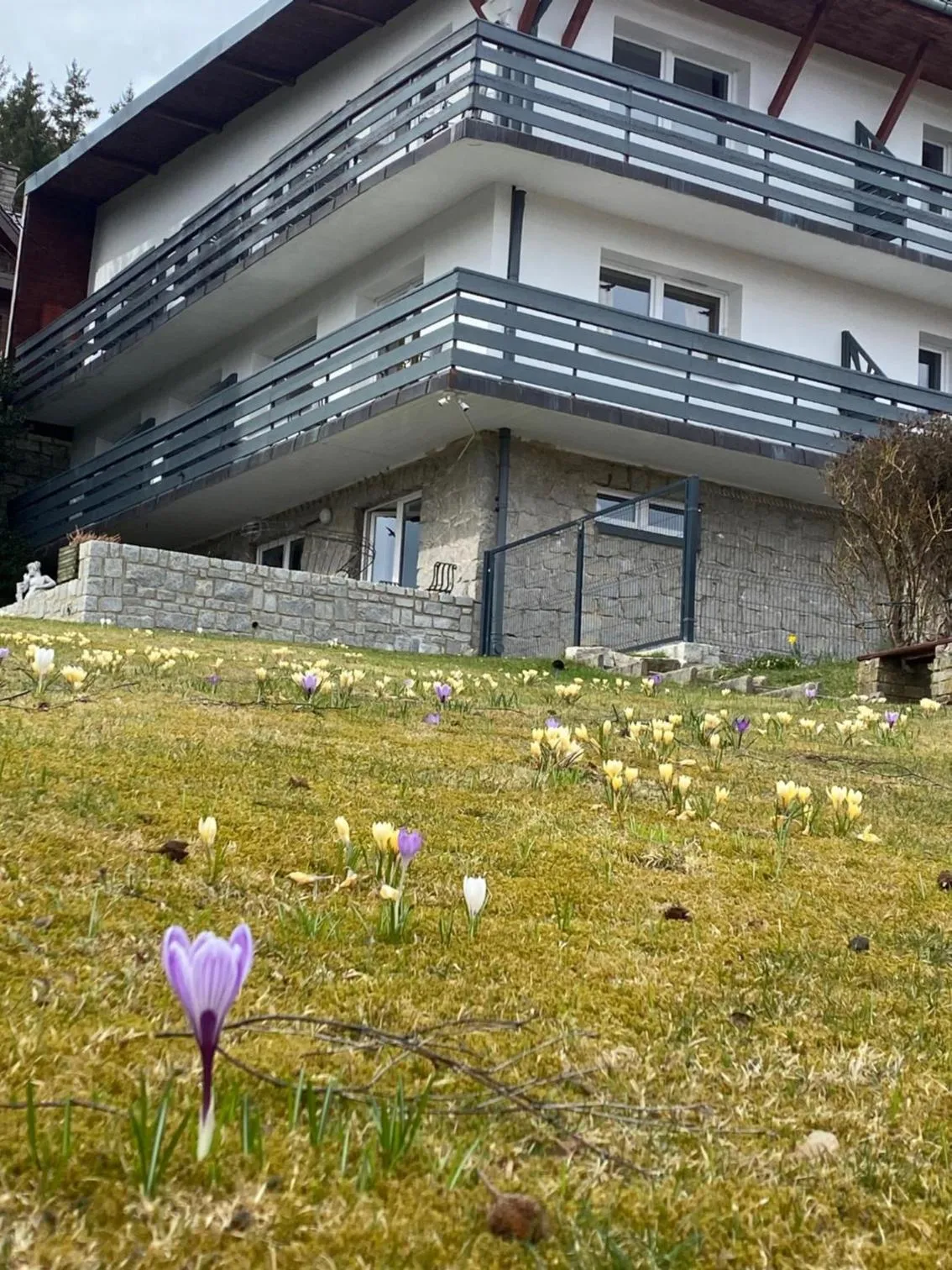 Garden in Willa MARANT