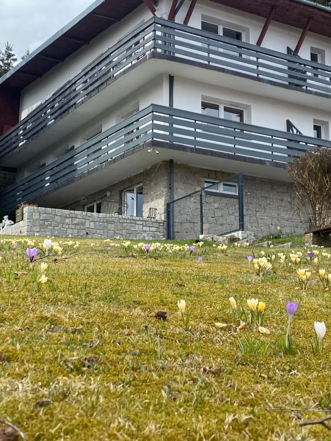 Garden in Willa MARANT