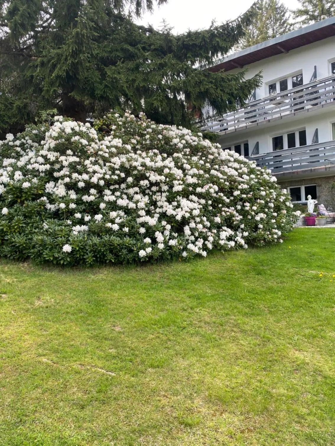Garden in Willa MARANT