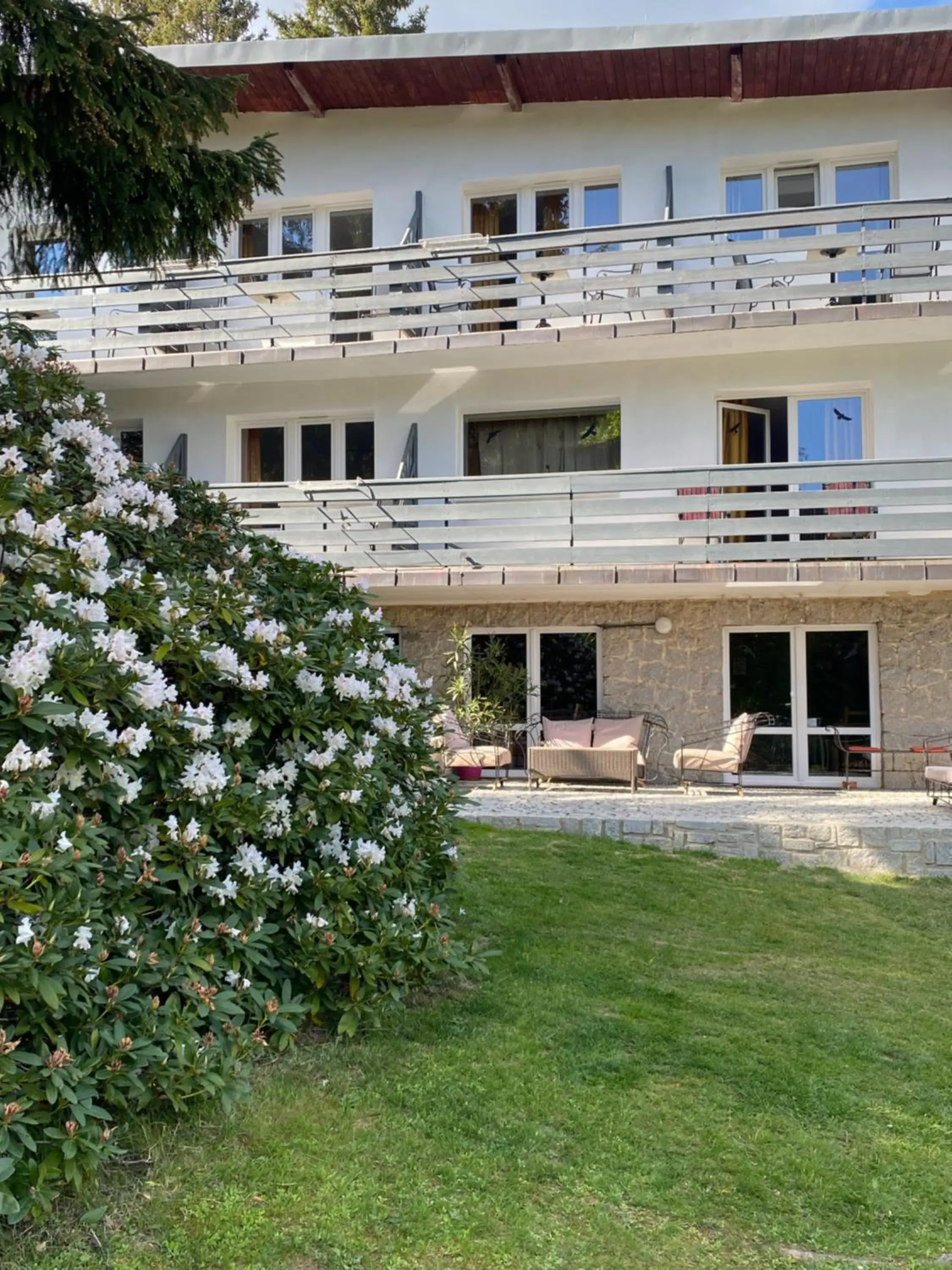 Willa MARANT Willa MARANT