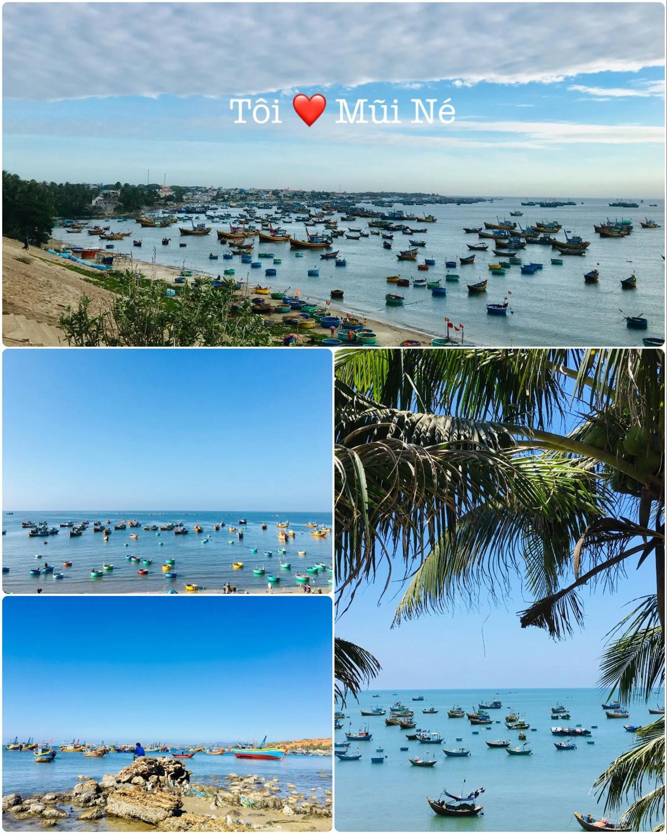 Natural landscape in Homestay BONO Mũi Né