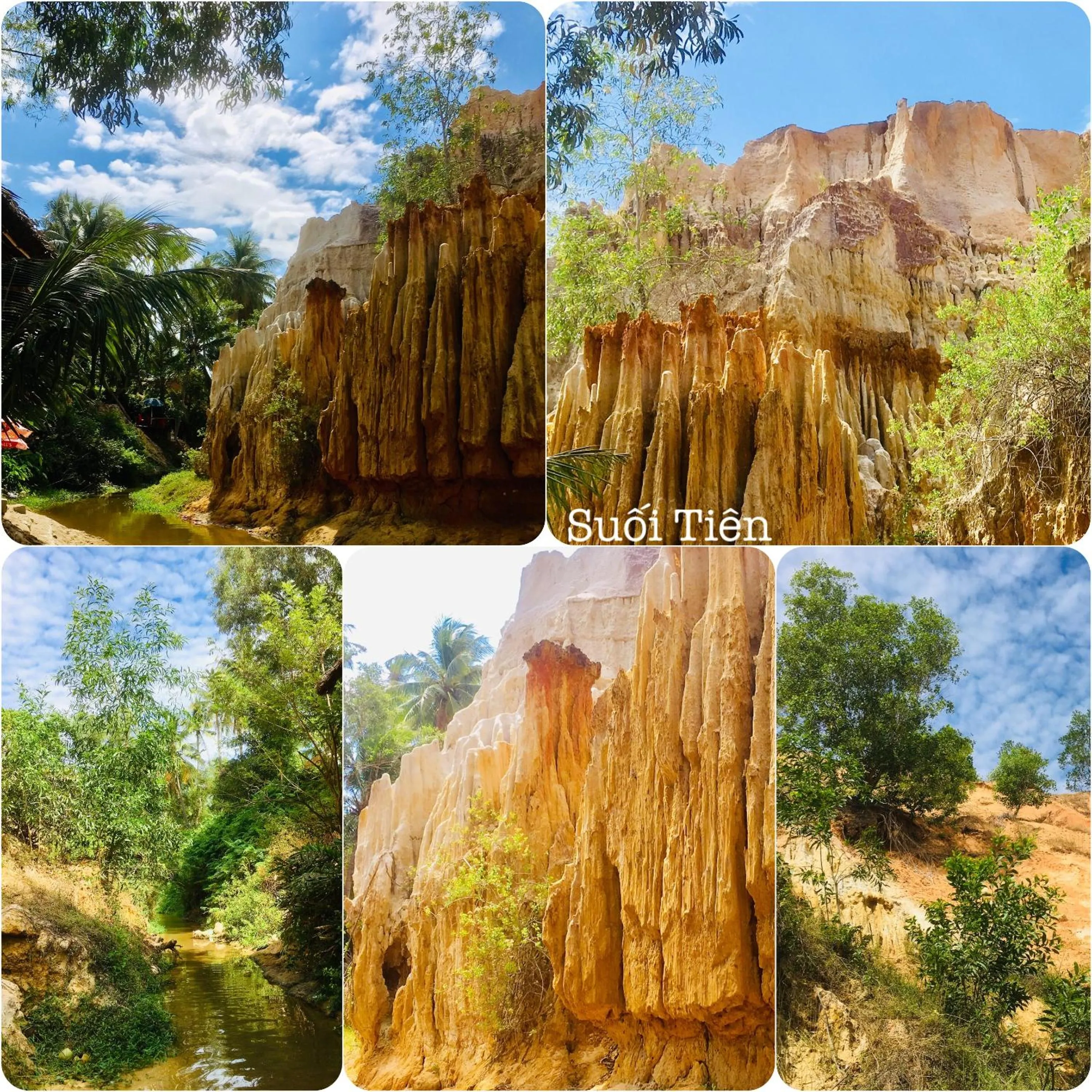 Homestay BONO Mũi Né