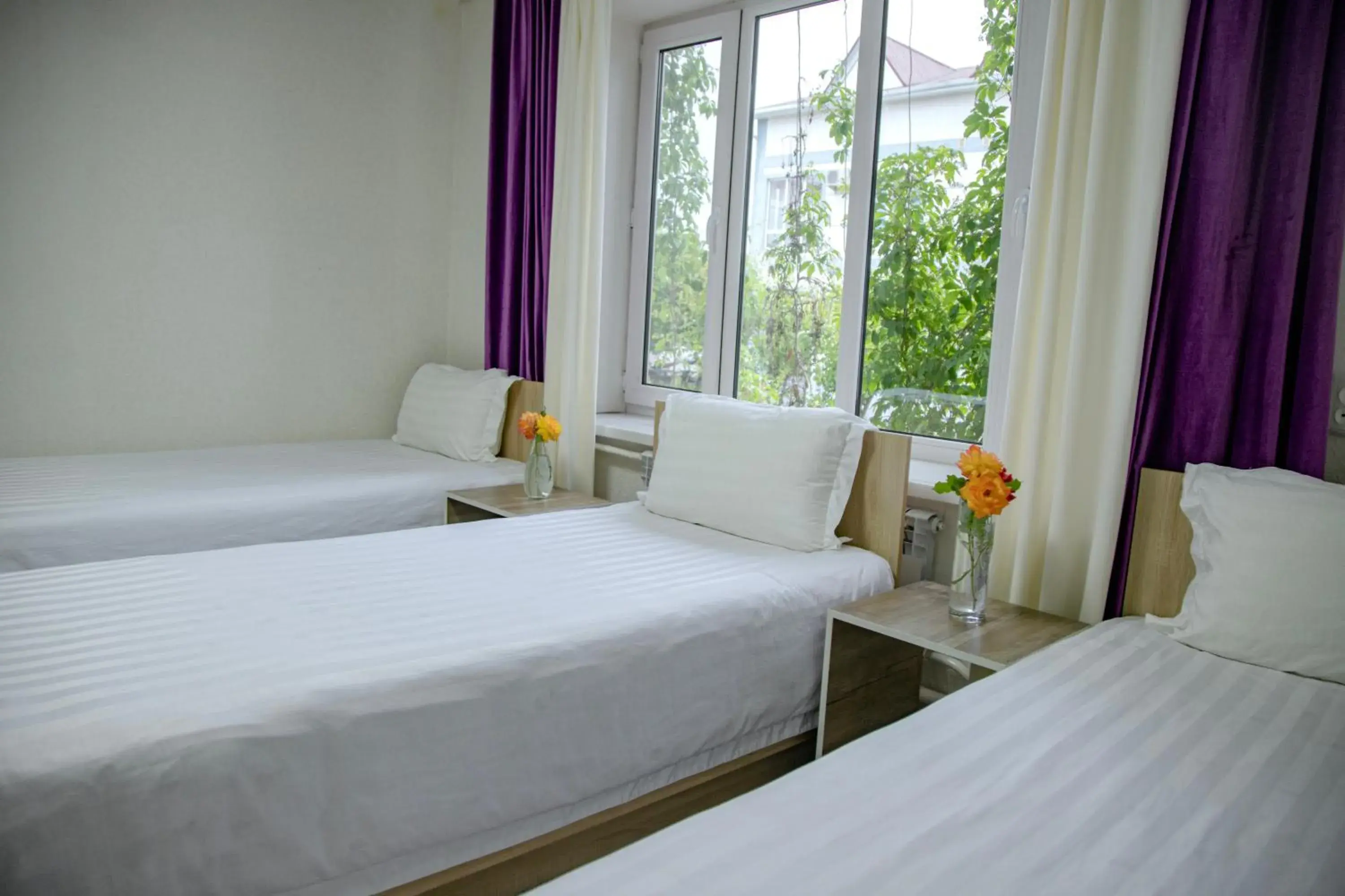 Triple Room with Shared Bathroom - single occupancy in Hotel Good Night Triple Room with Shared Bathroom - single occupancy in Hotel Good Night
