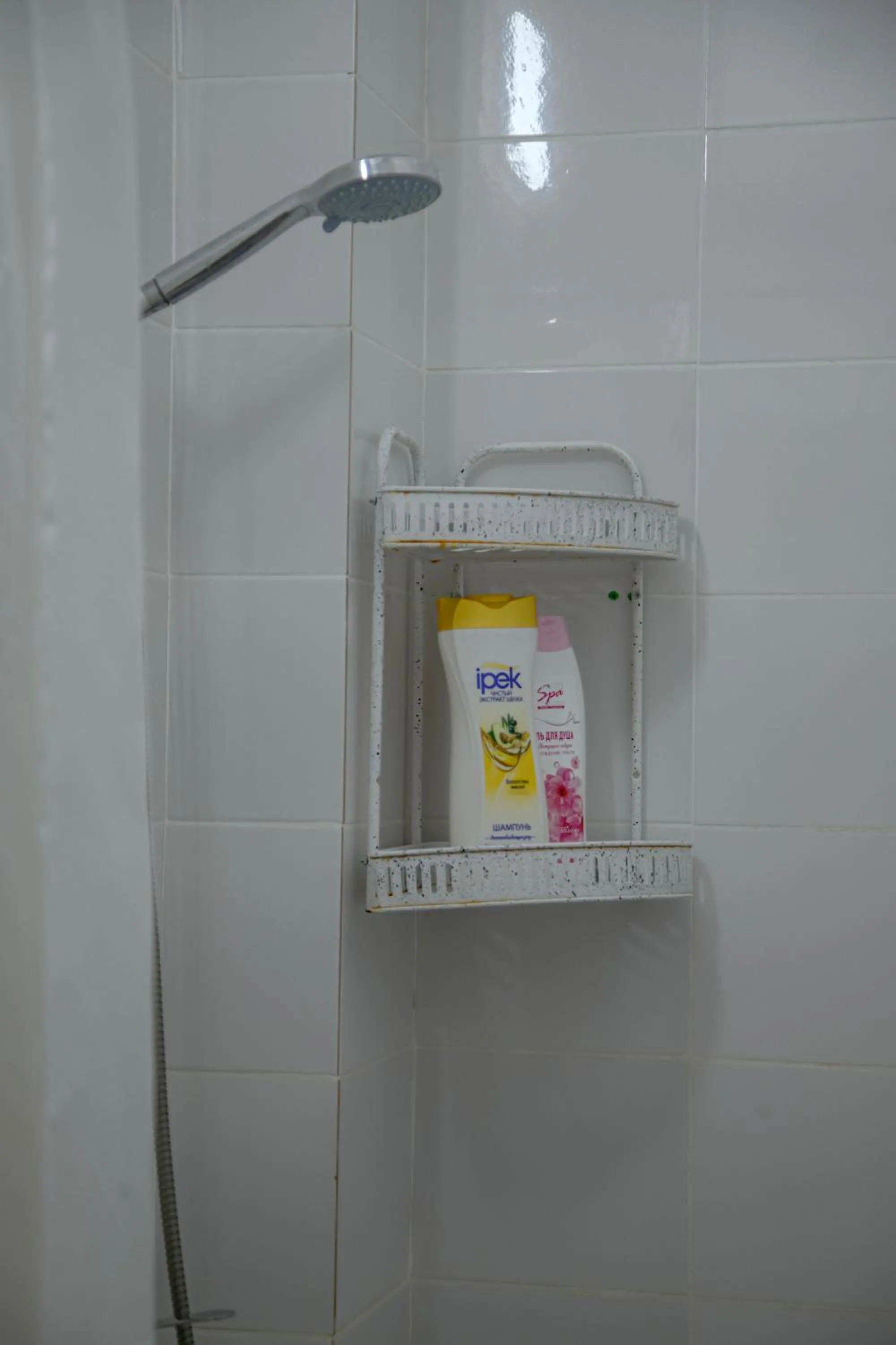 Shower in Hotel Good Night