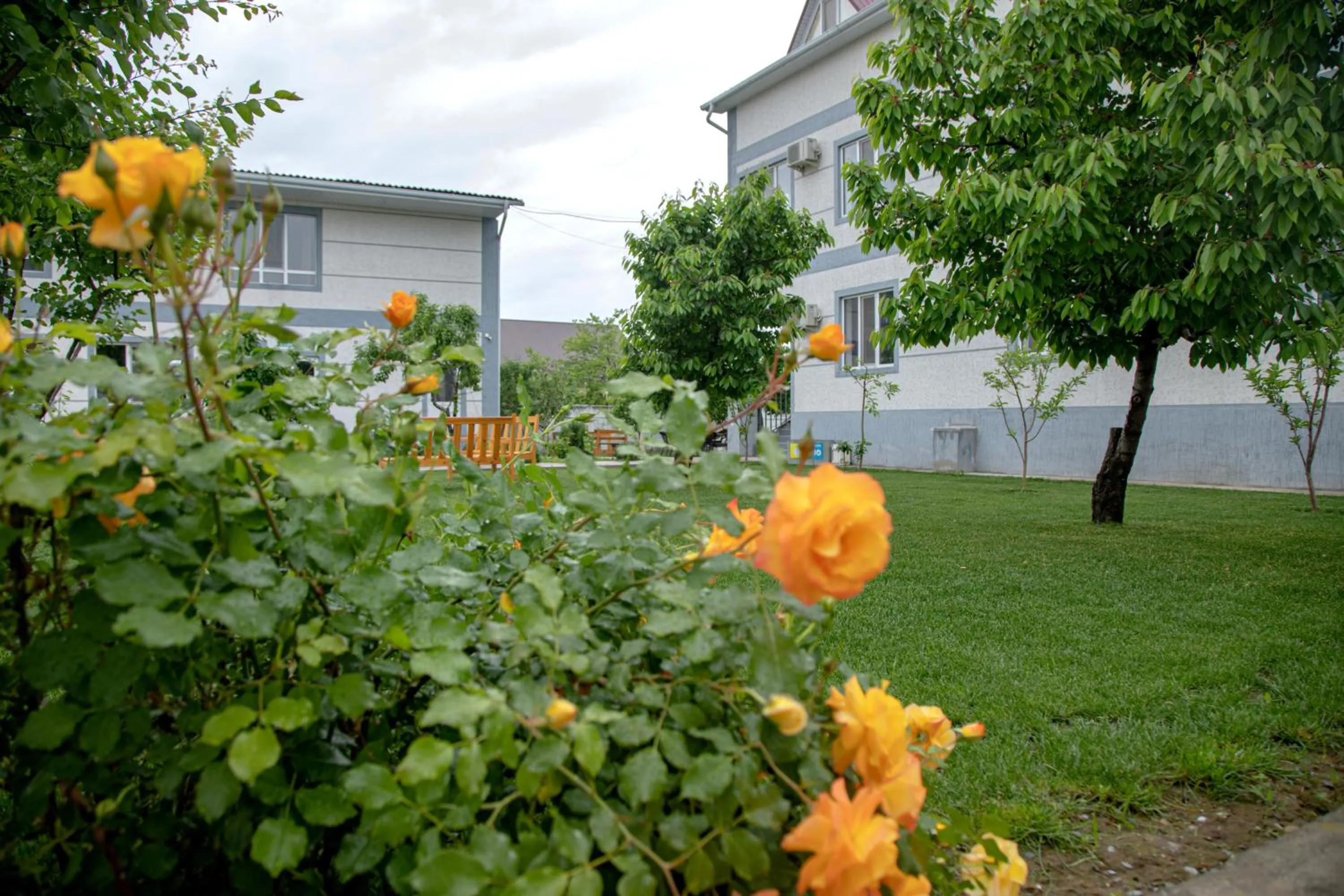 Property building in Hotel Good Night