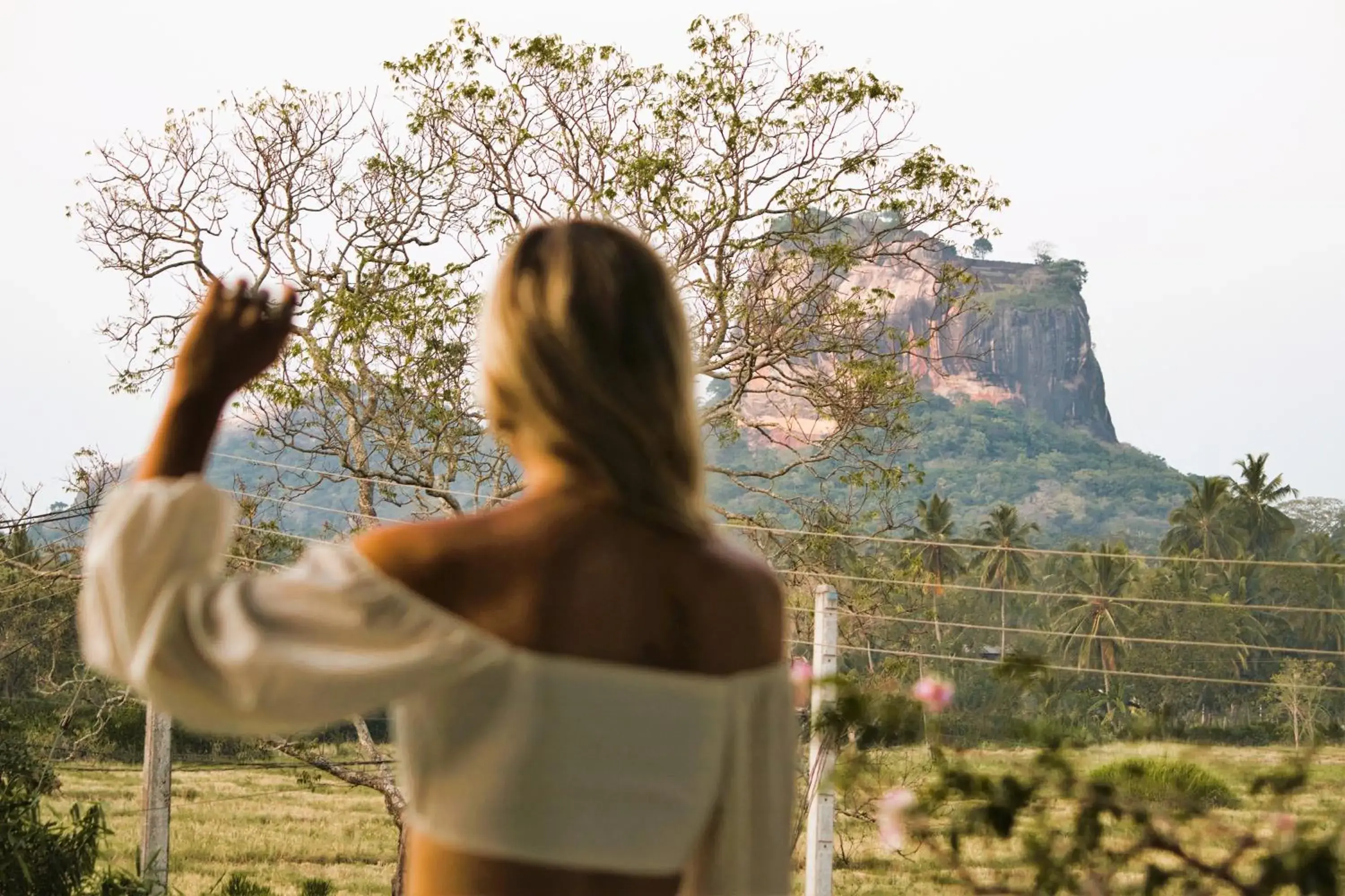 Double Room with Mountain View - single occupancy in Royal Rock Sigiriya Double Room with Mountain View - single occupancy in Royal Rock Sigiriya