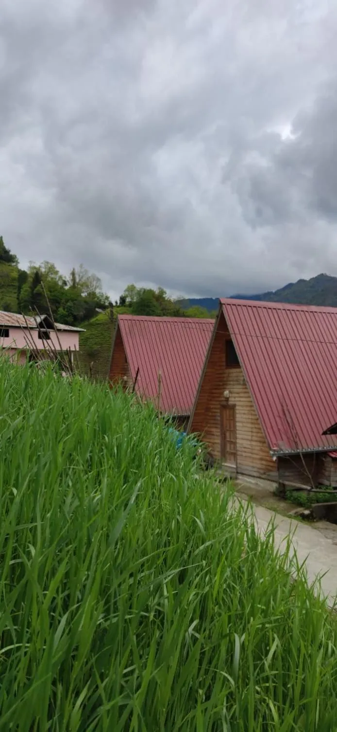 Begi Apart Bungalows Hotel - Çamlıhemşin