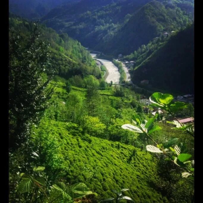 Begi Apart Bungalows Hotel - Çamlıhemşin