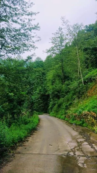 Begi Apart Bungalows Hotel - Çamlıhemşin