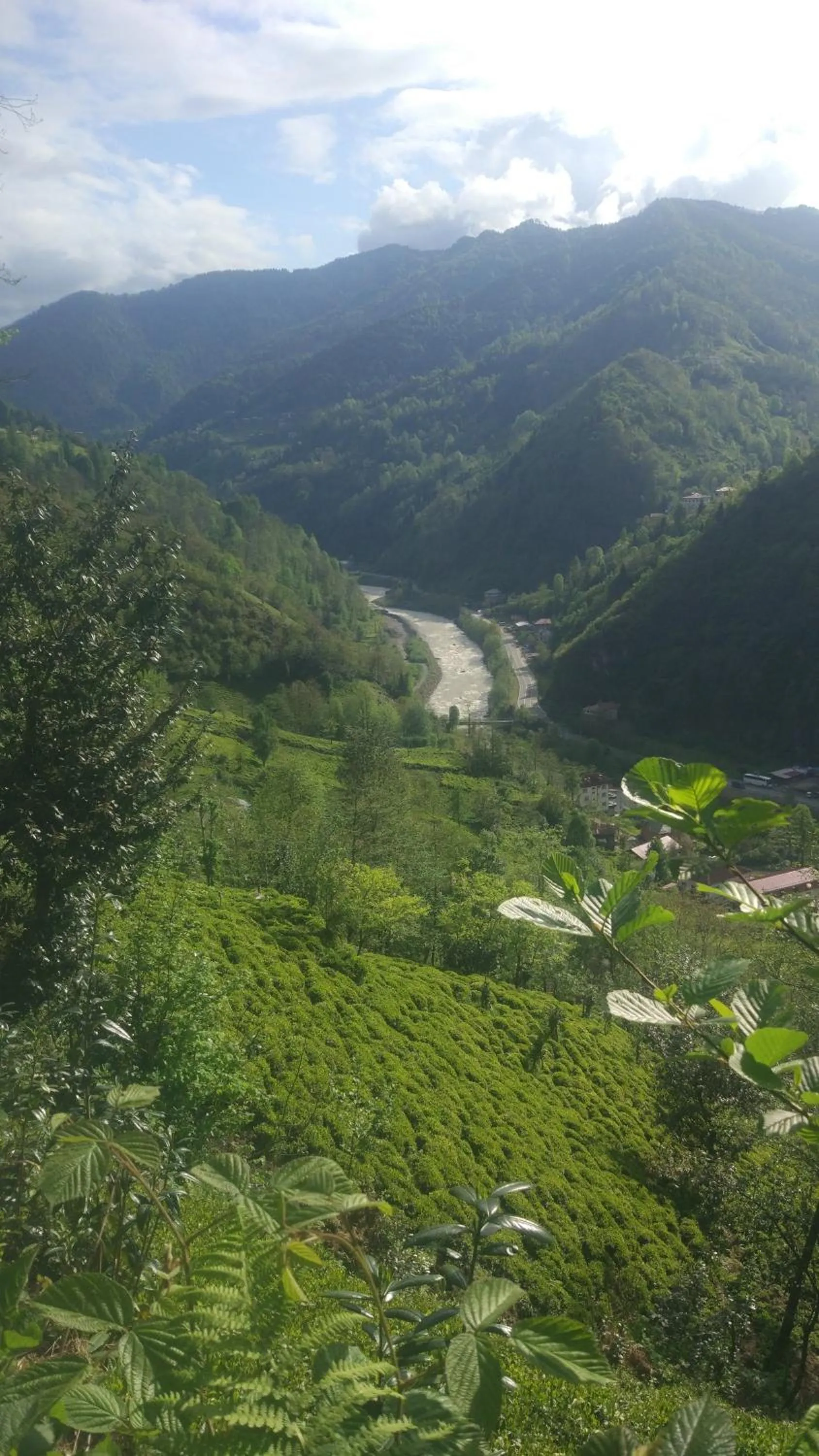 Natural landscape in Begi Apart Bungalows Hotel - Çamlıhemşin