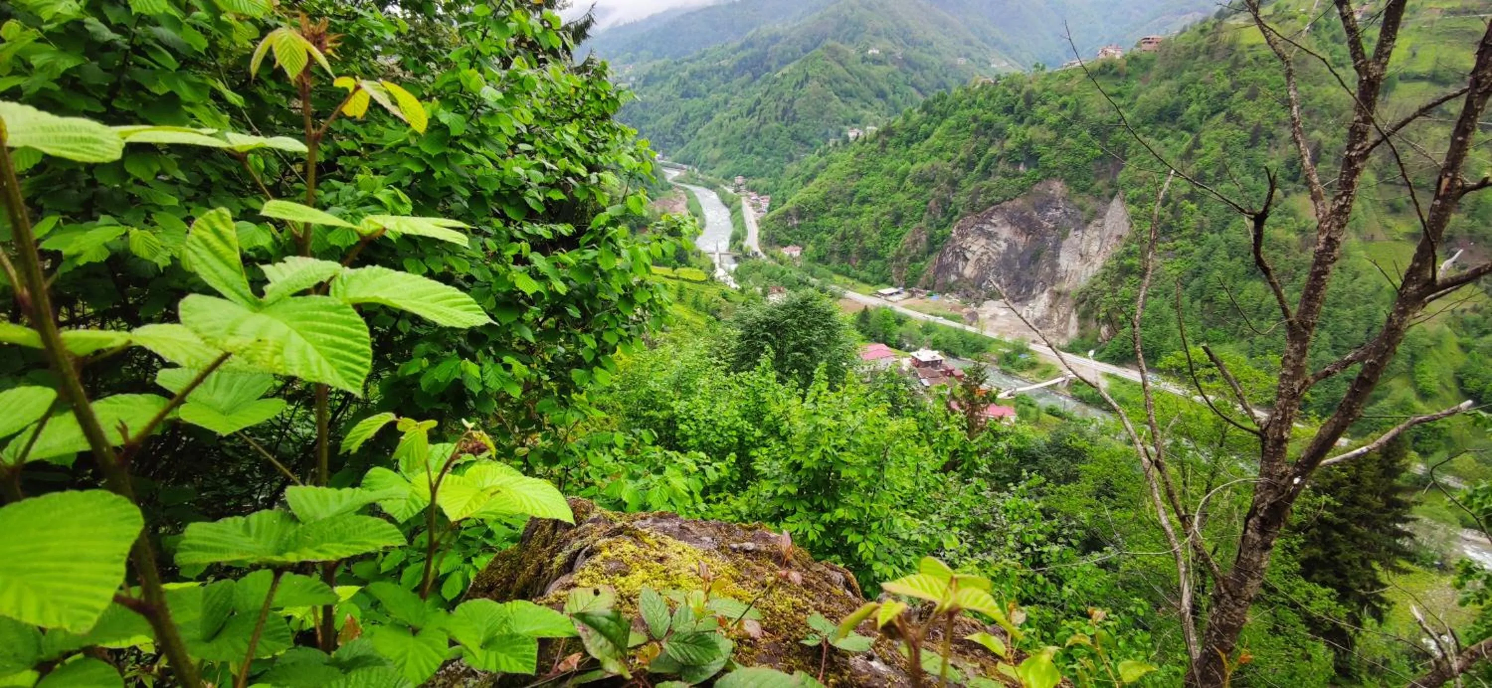 Begi Apart Bungalows Hotel - Çamlıhemşin