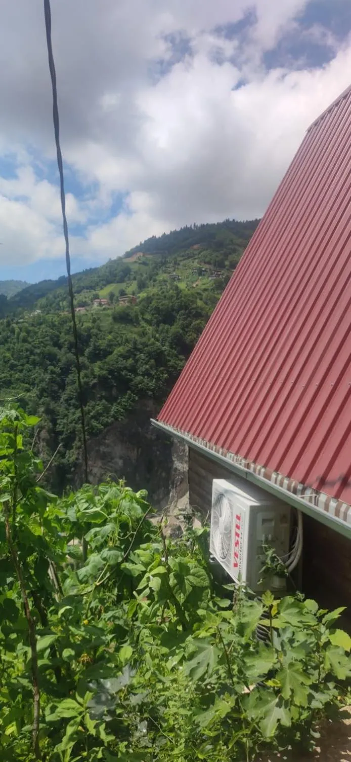 Begi Apart Bungalows Hotel - Çamlıhemşin