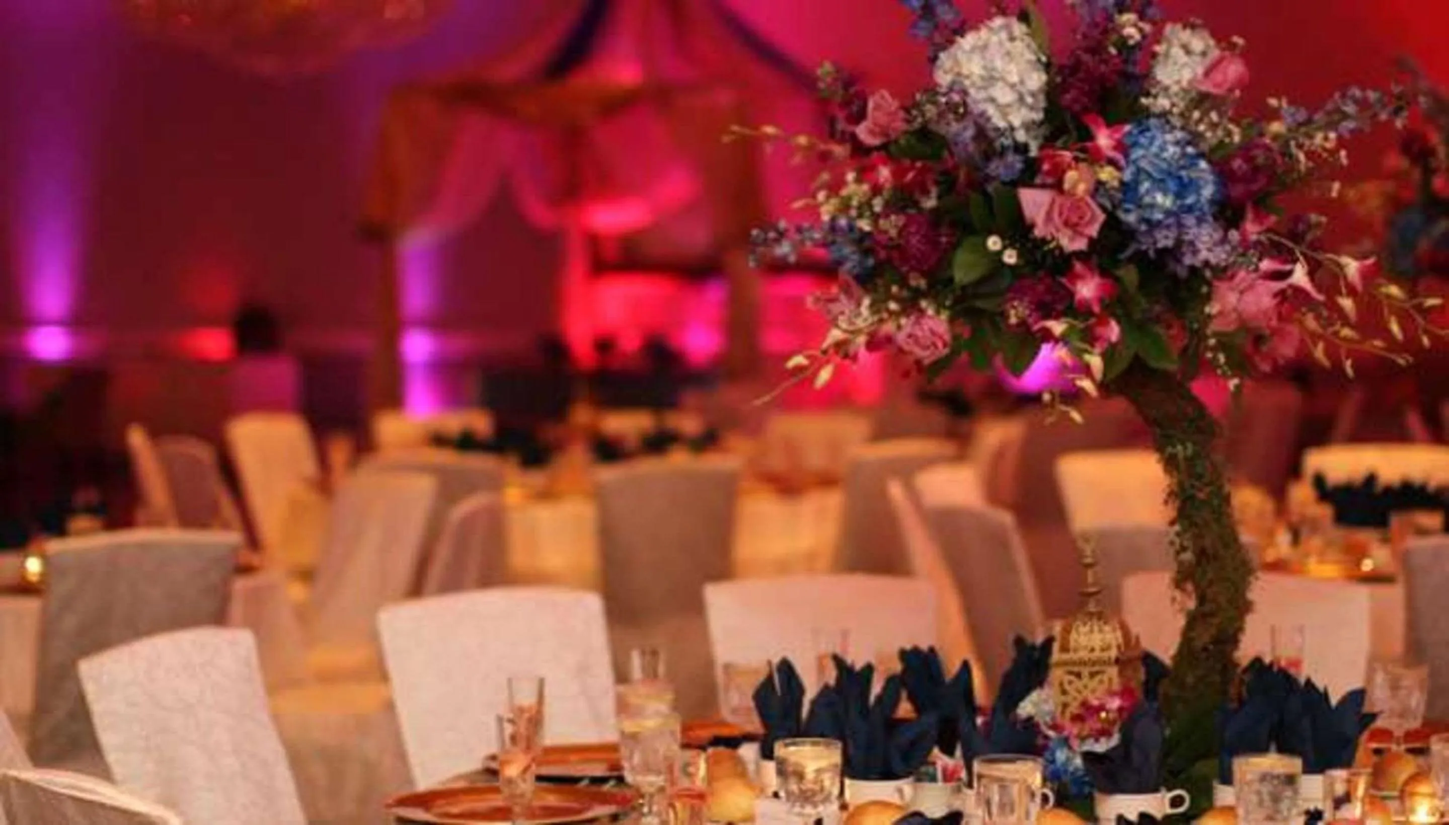 Other in Radisson Hotel Freehold