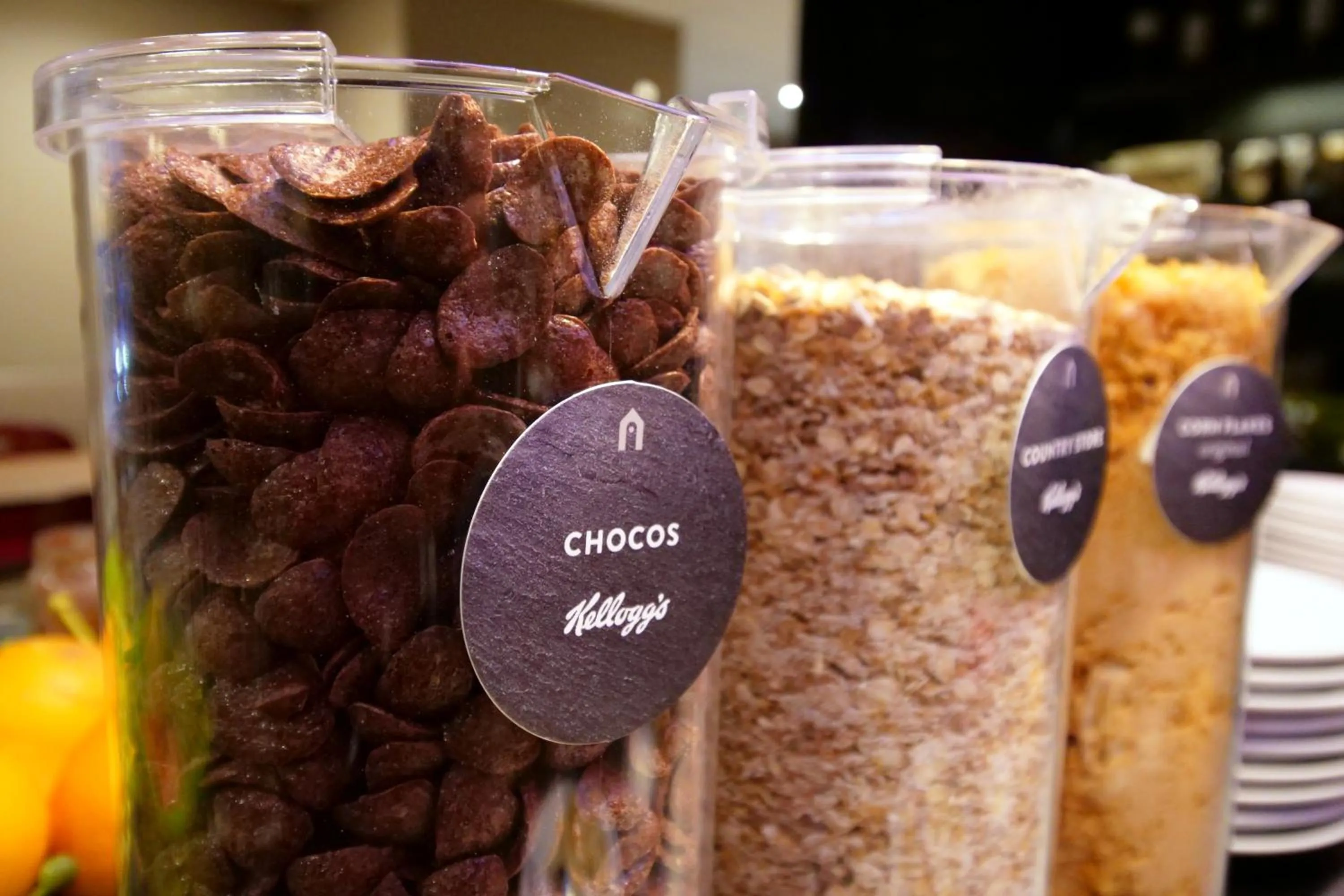 Food and drinks in Campanile Albi Centre