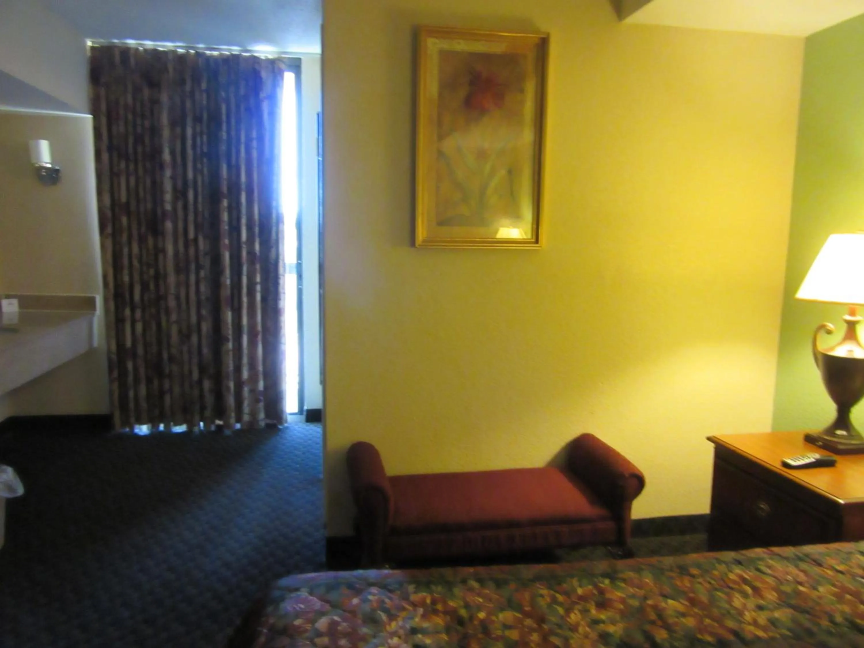 Decorative detail, Seating Area in Days Inn & Suites by Wyndham SE Columbia Ft Jackson