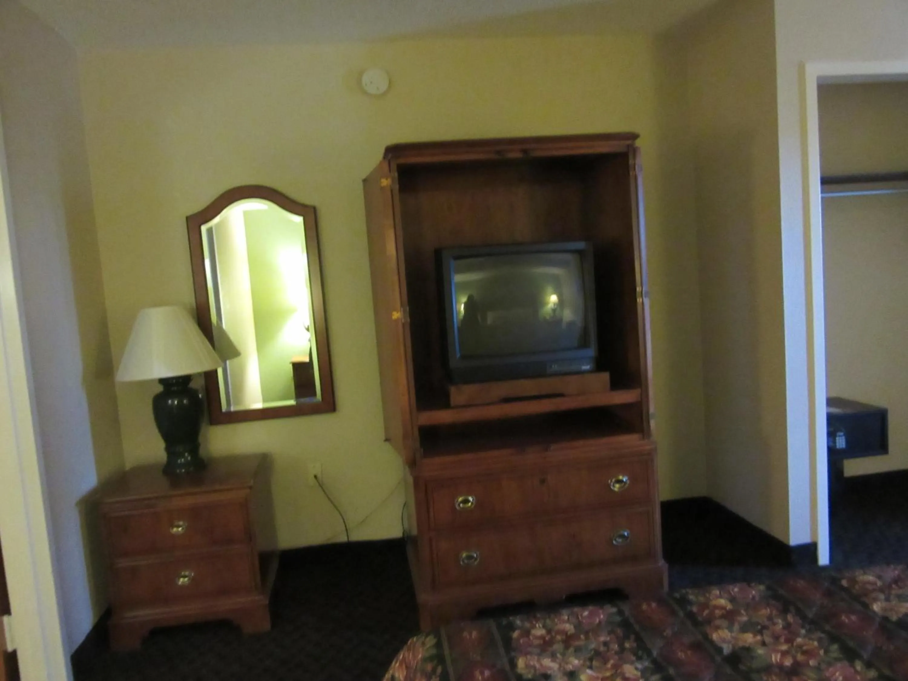 Decorative detail, TV/Entertainment Center in Days Inn & Suites by Wyndham SE Columbia Ft Jackson