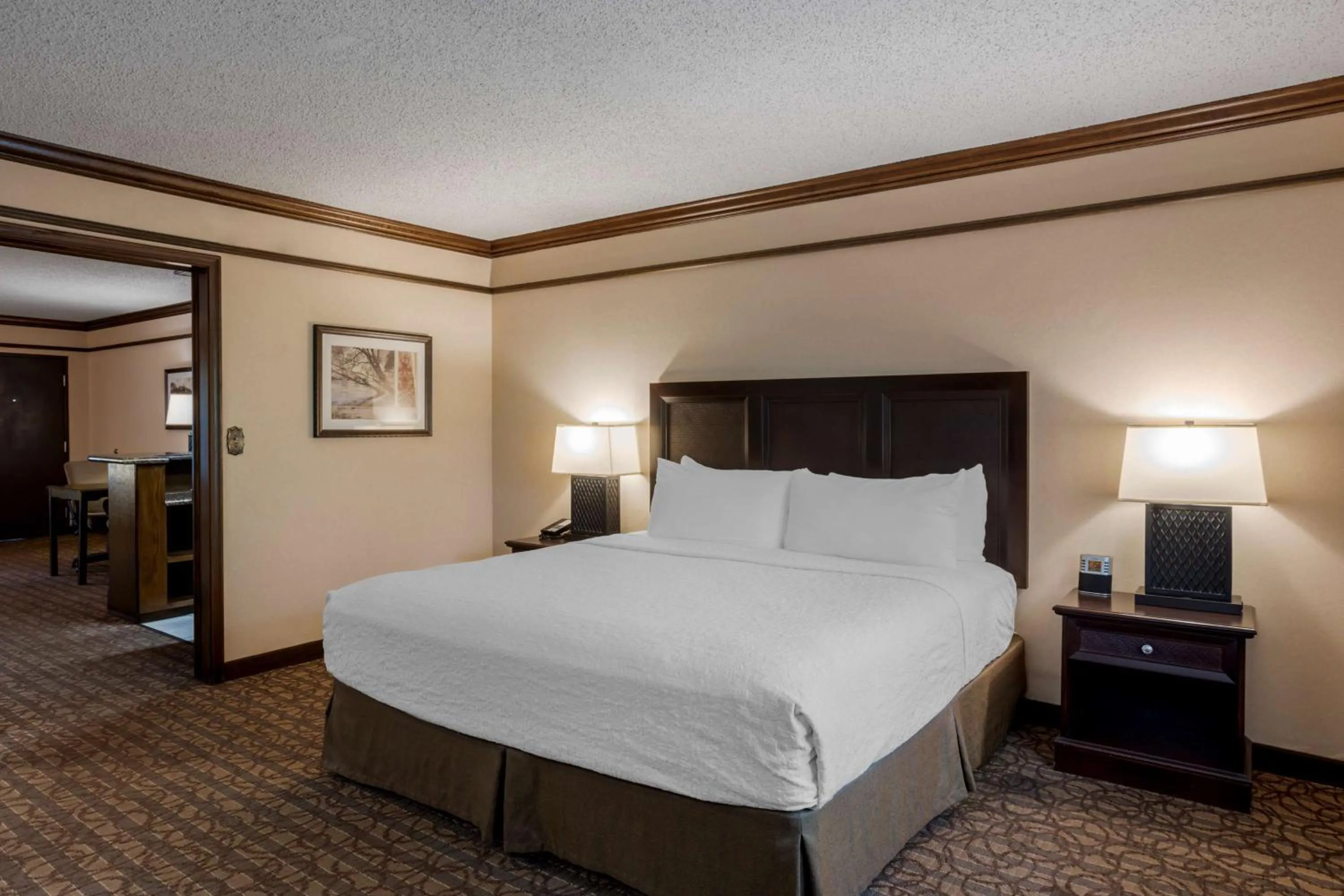 Photo of the whole room, Bed in Best Western Inn of the Ozarks