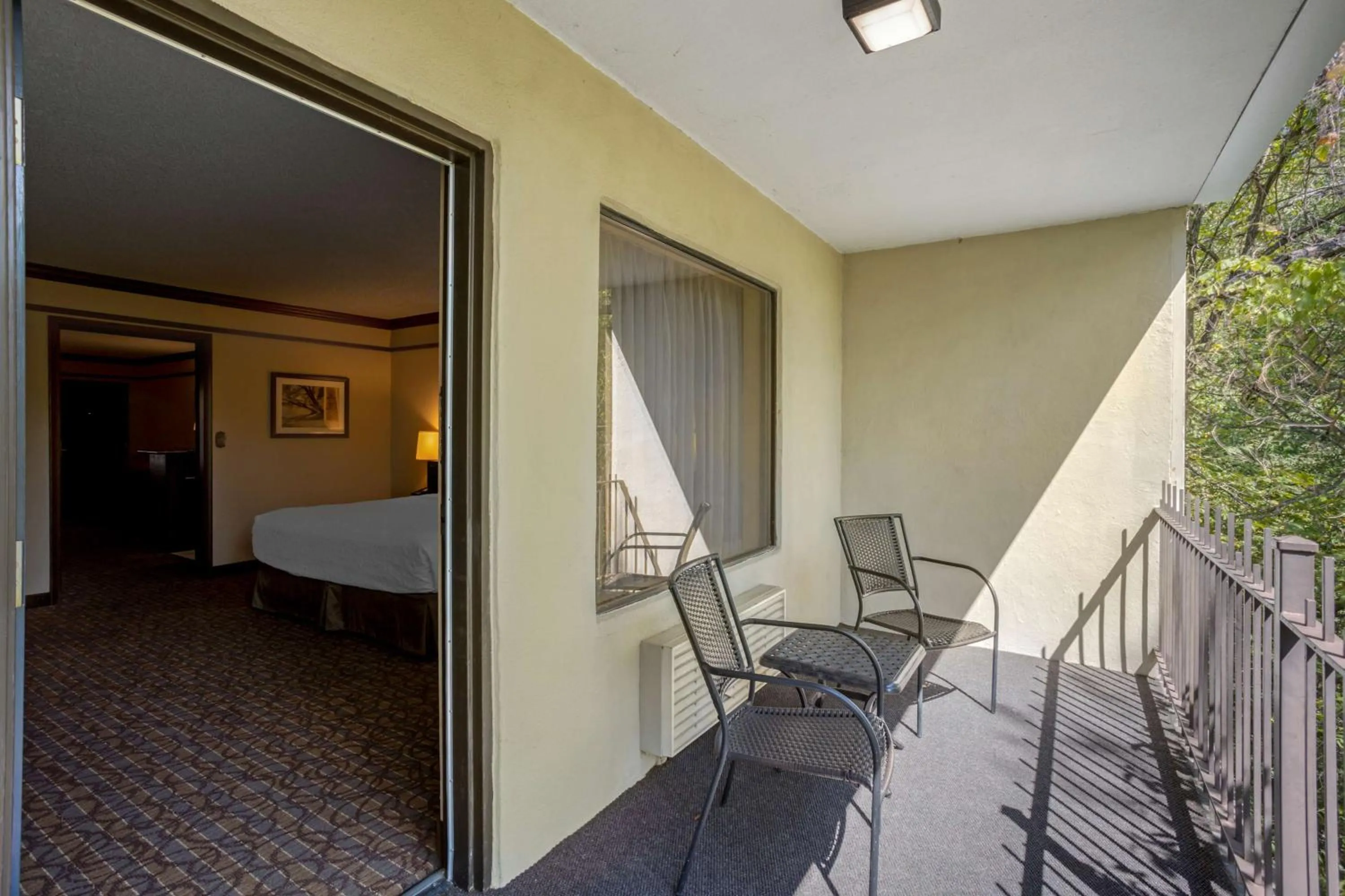 View (from property/room) in Best Western Inn of the Ozarks