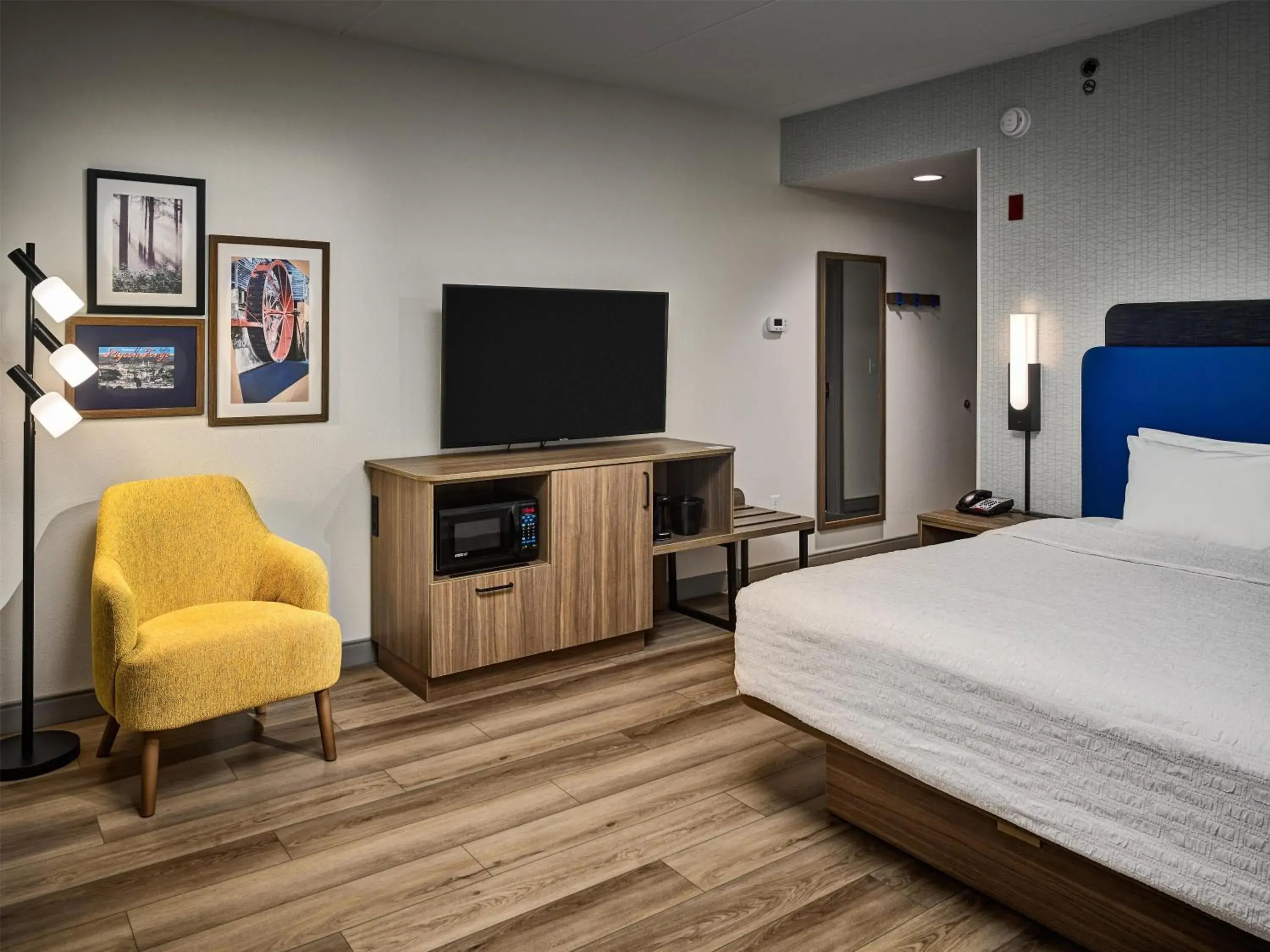 King Room with Accessible Tub - Mobility and Hearing Access/Non-Smoking in Hampton Inn Pigeon Forge King Room with Accessible Tub - Mobility and Hearing Access/Non-Smoking in Hampton Inn Pigeon Forge