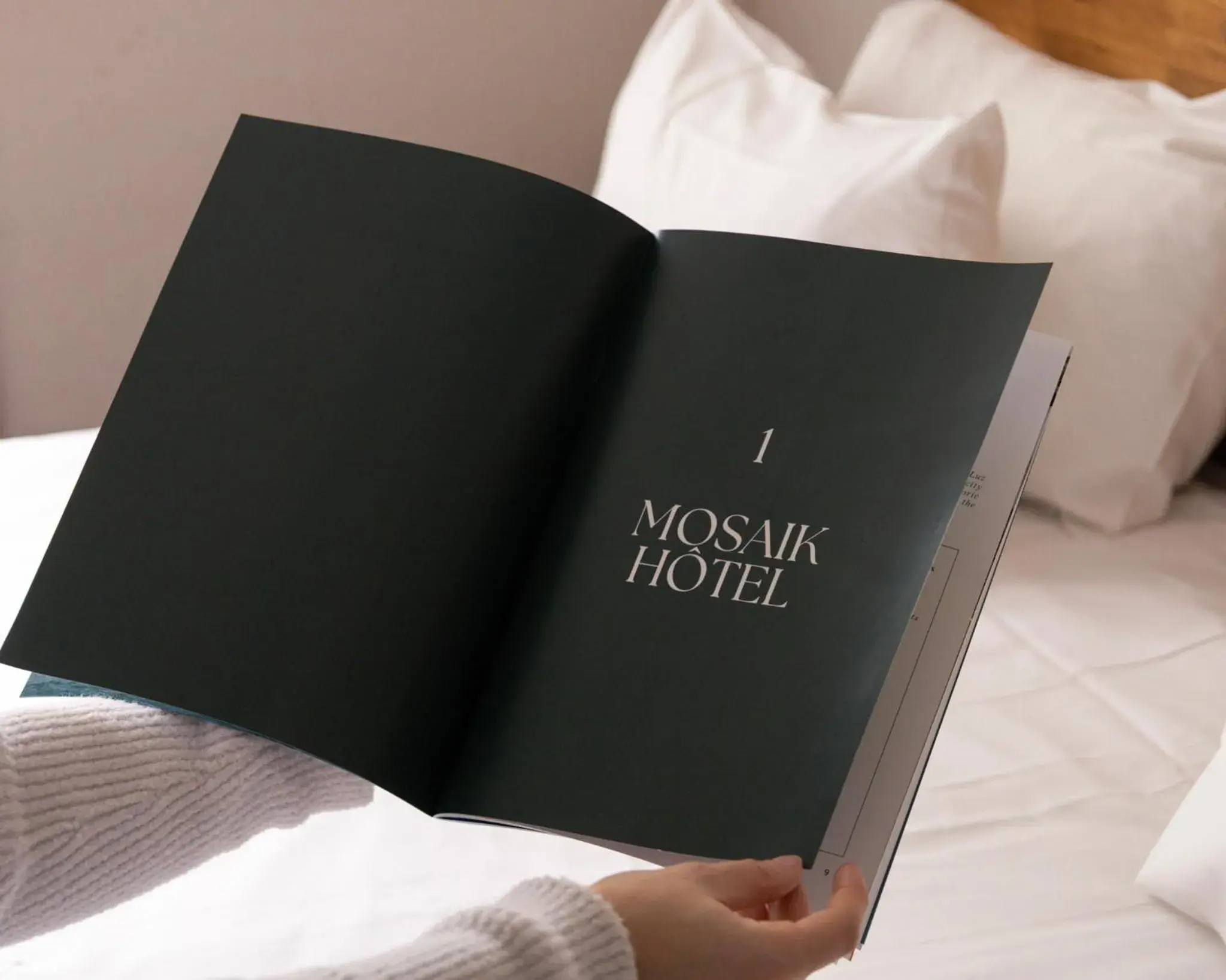 Lobby or reception in Mosaik hotel Lobby or reception in Mosaik hotel