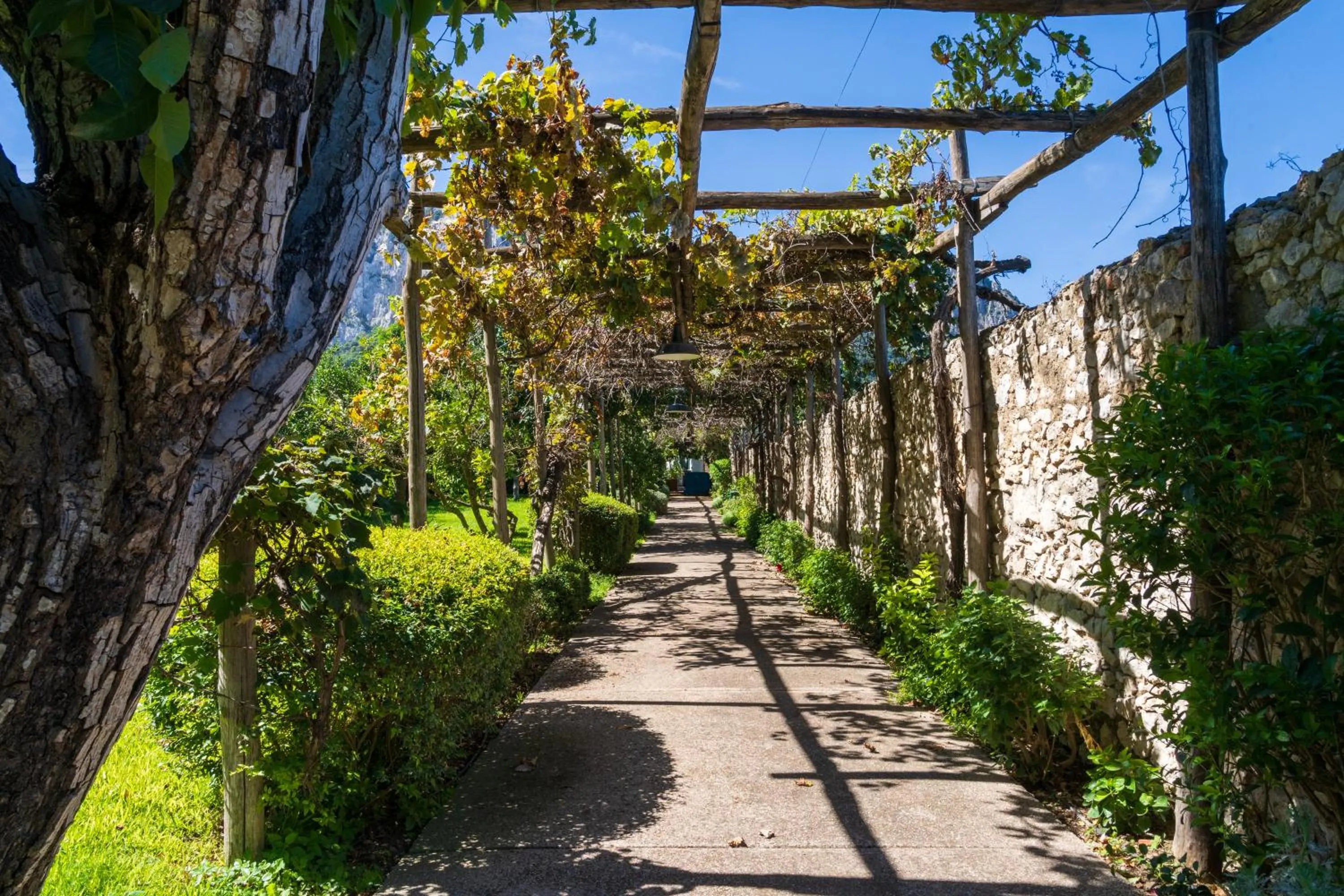 Casa Verdemare