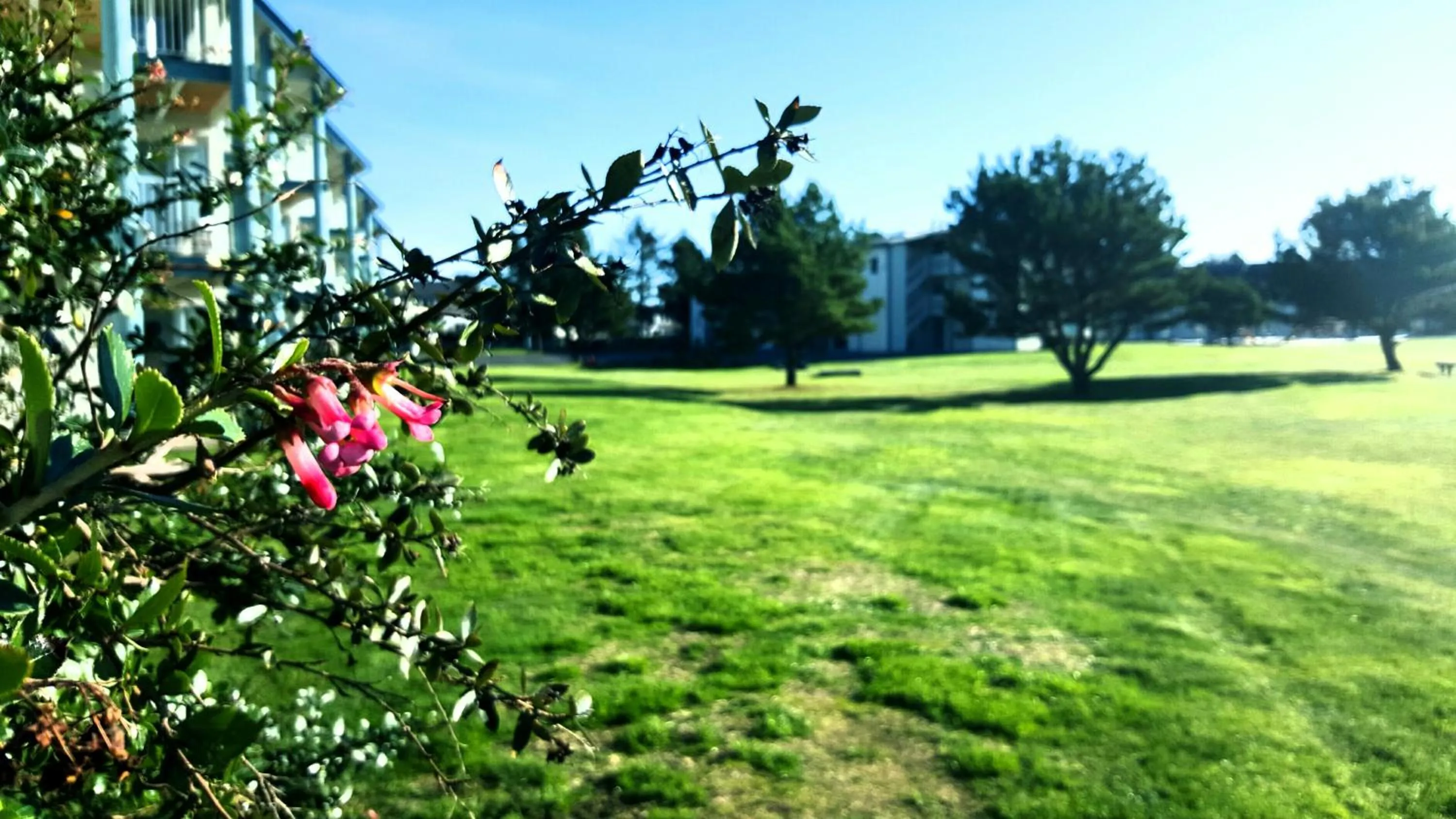 Property building in The Breakers Long Beach