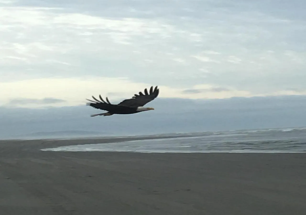 Beach in The Breakers Long Beach