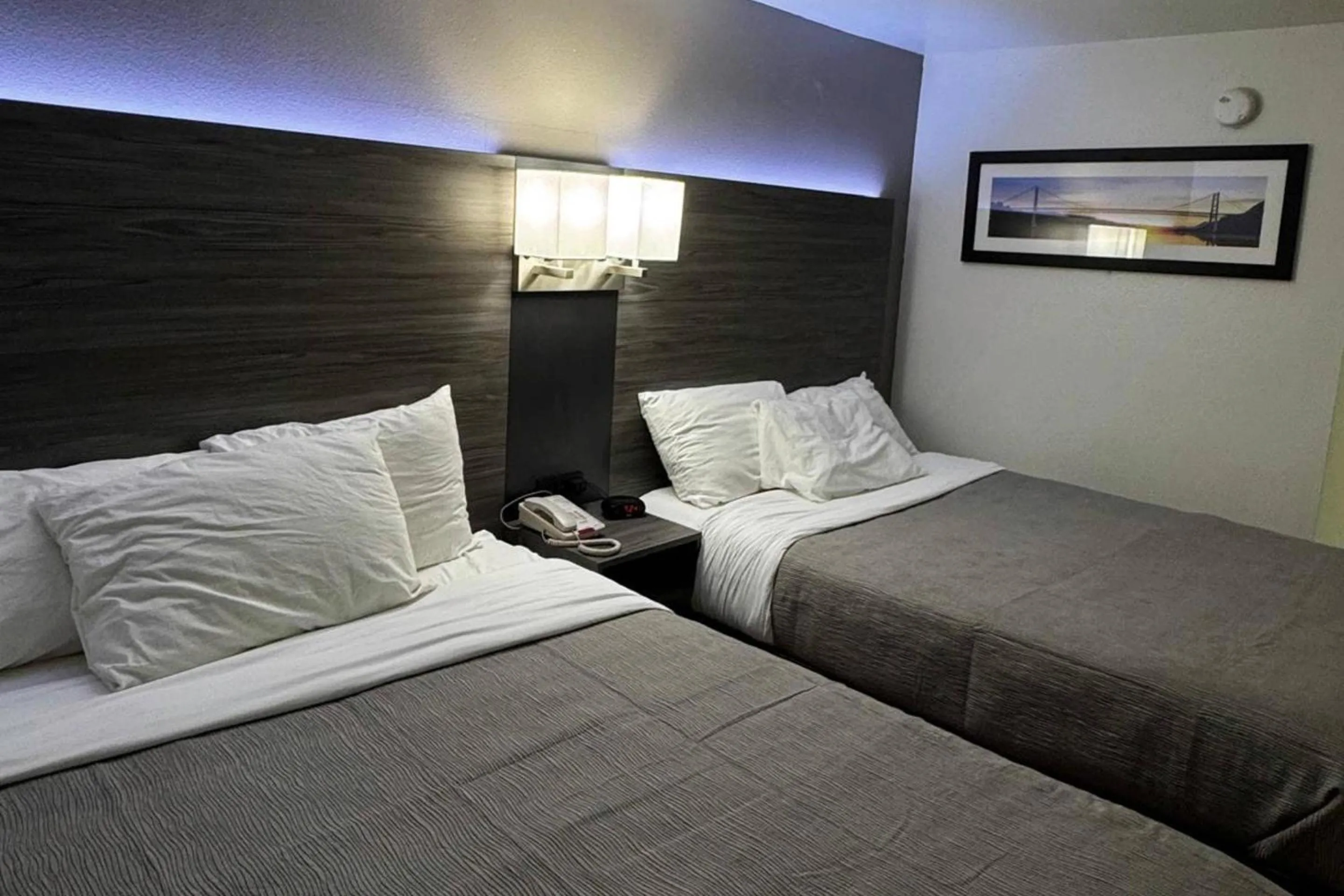 Bedroom, Bed in Quality Inn Fishers - Indianapolis