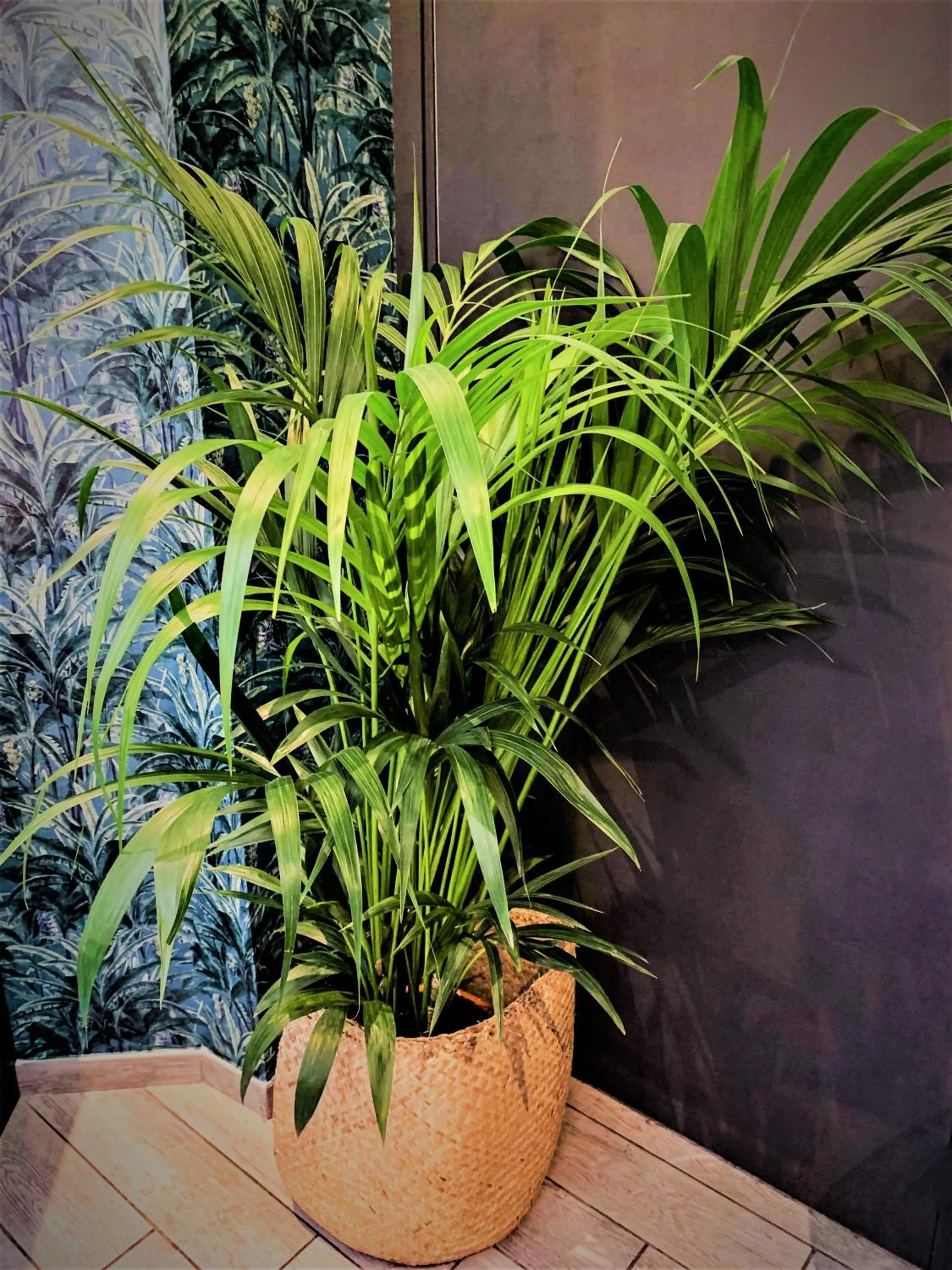Lobby or reception in Hôtel Boutique Richelieu, Lyon Gare Part-Dieu