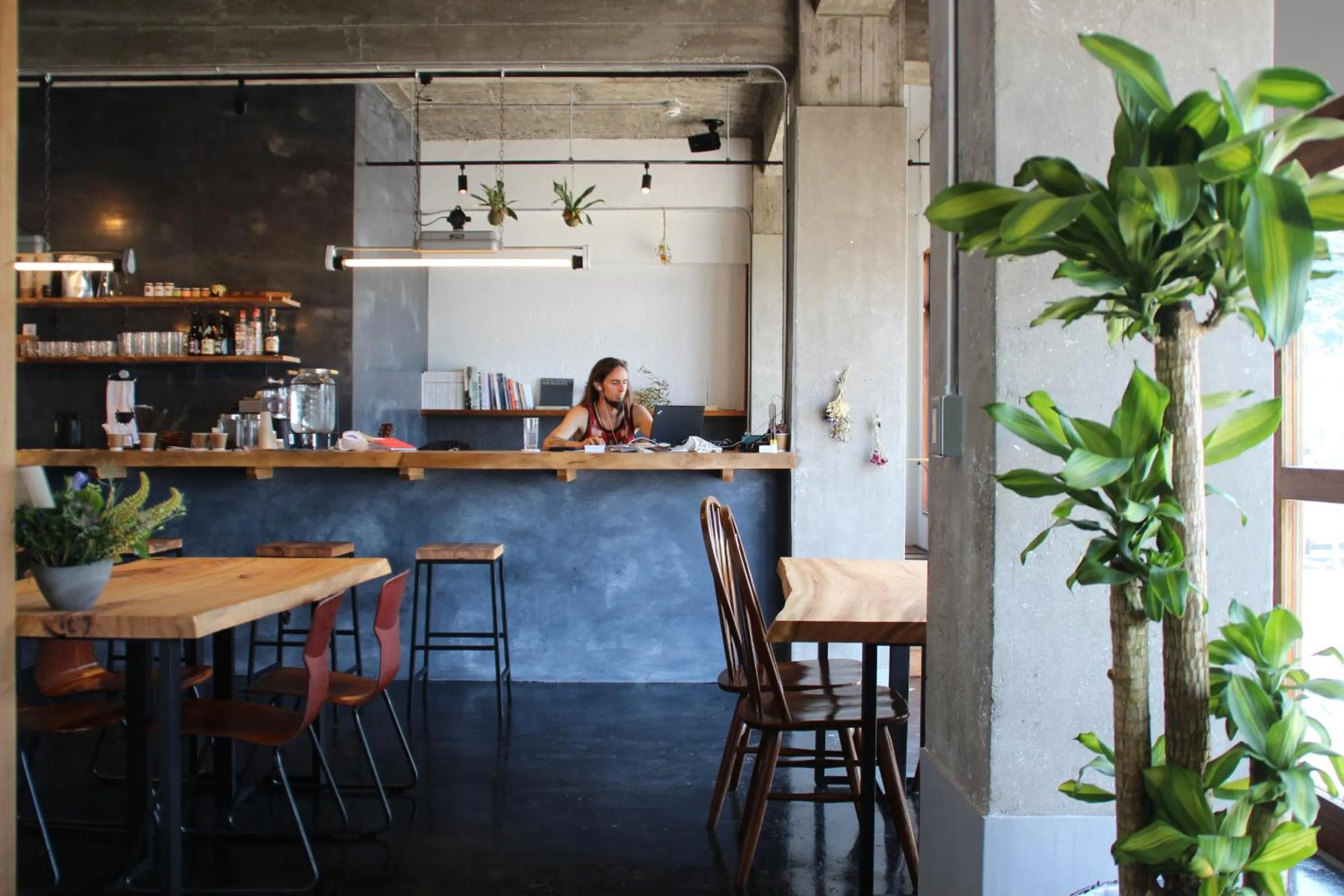 Lounge or bar in Tagore Harbor Hostel