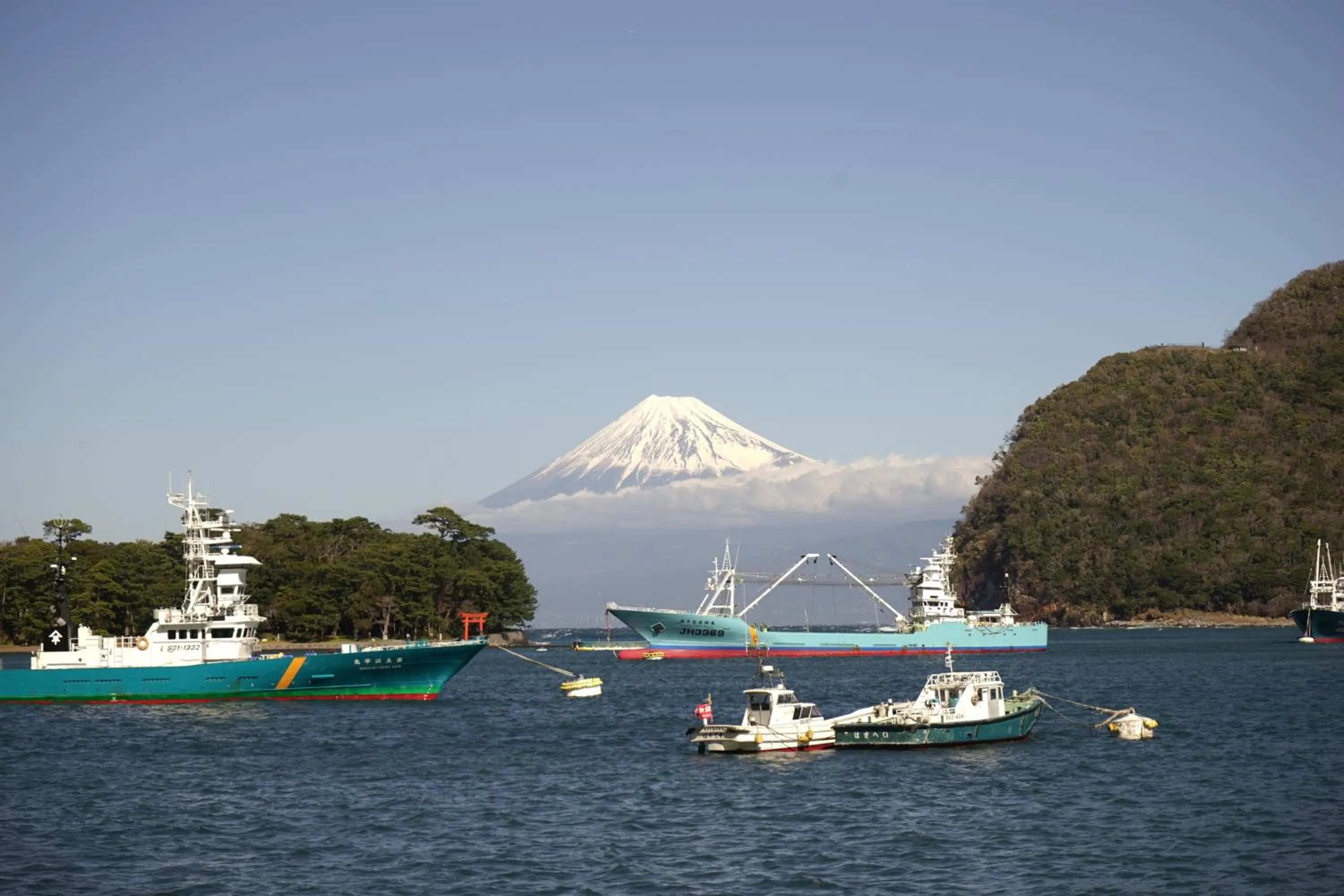 Natural landscape in Tagore Harbor Hostel