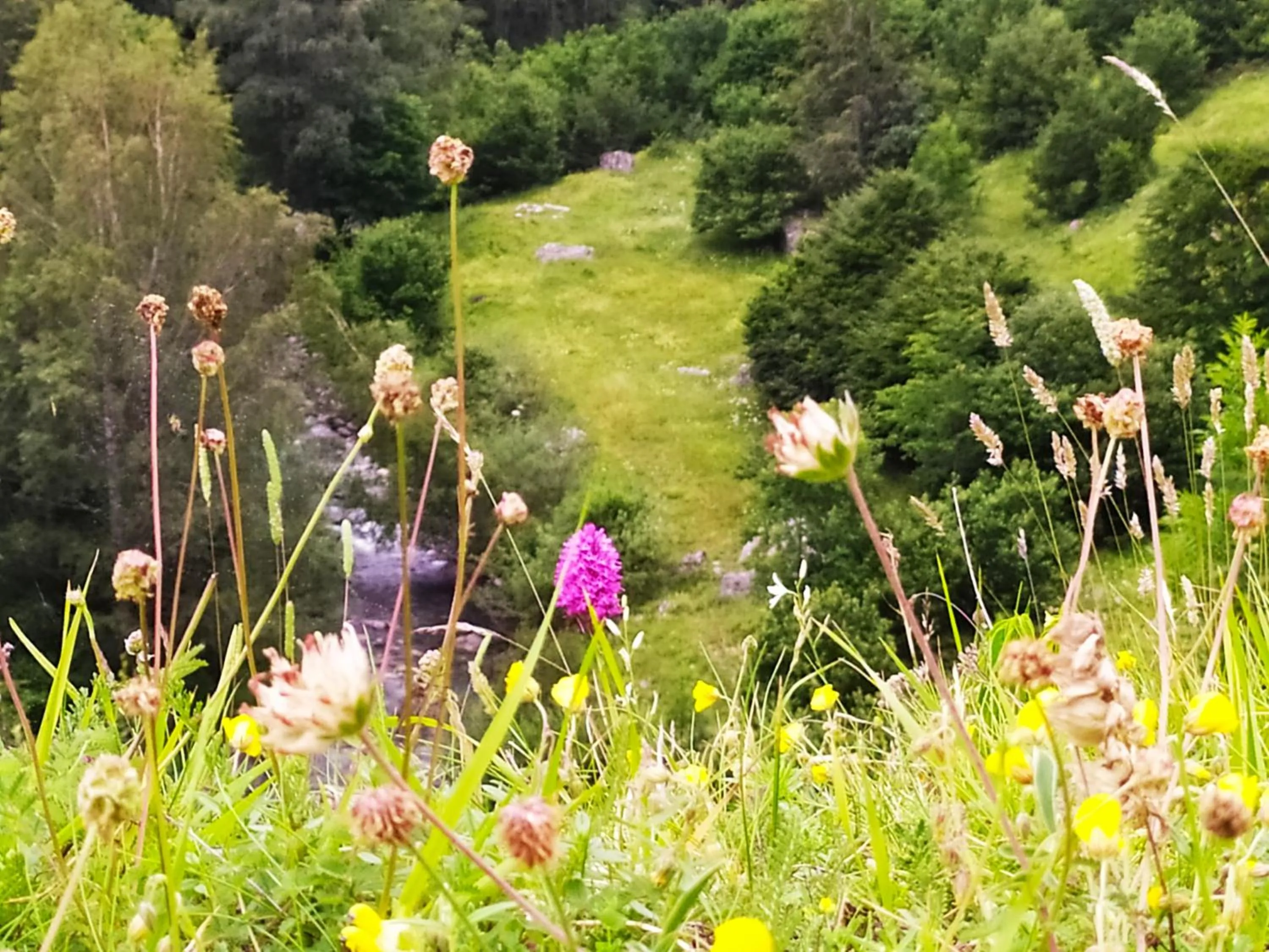 Natural landscape in Chez Lolette