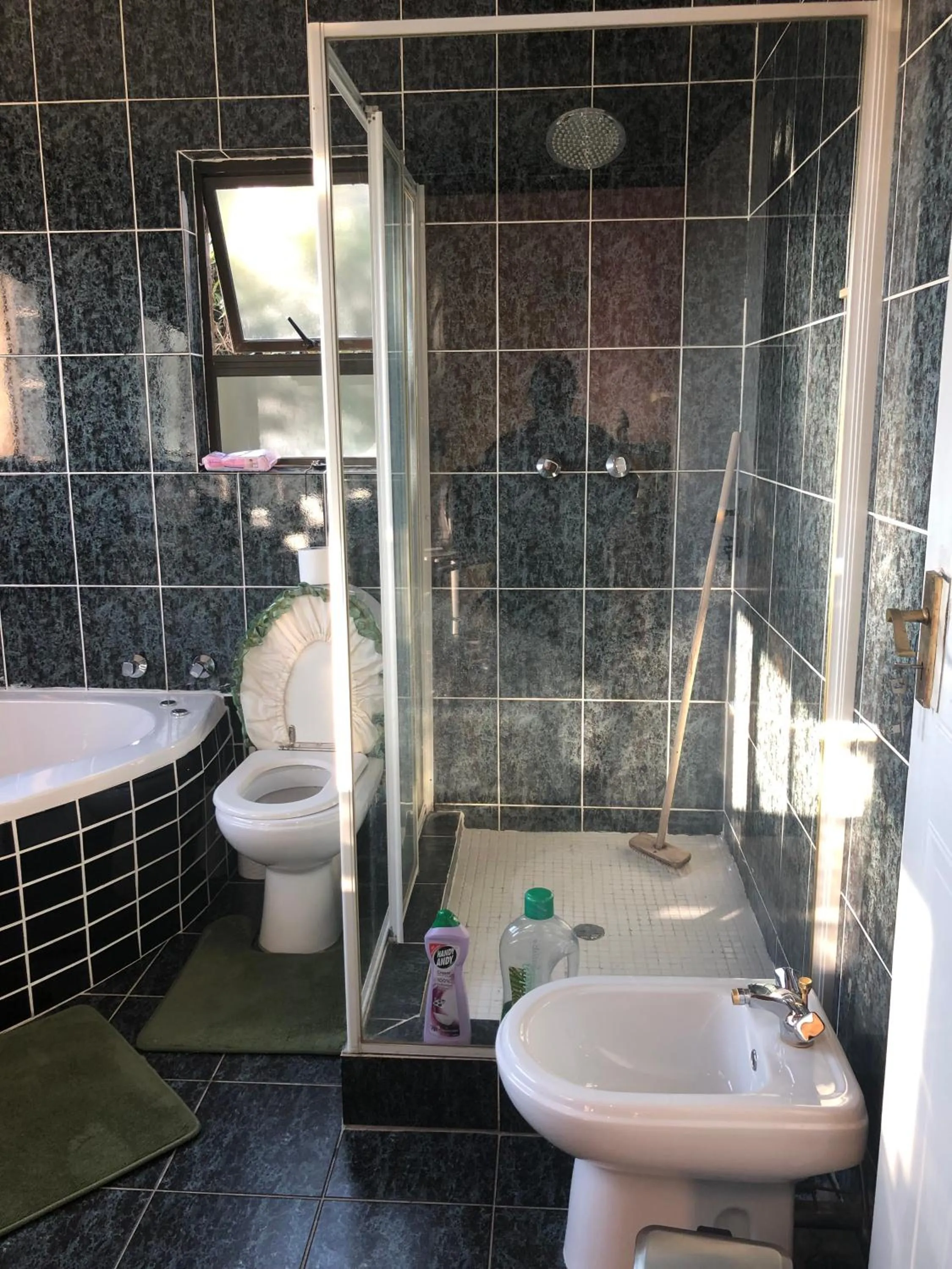 Toilet in Naomi's Place