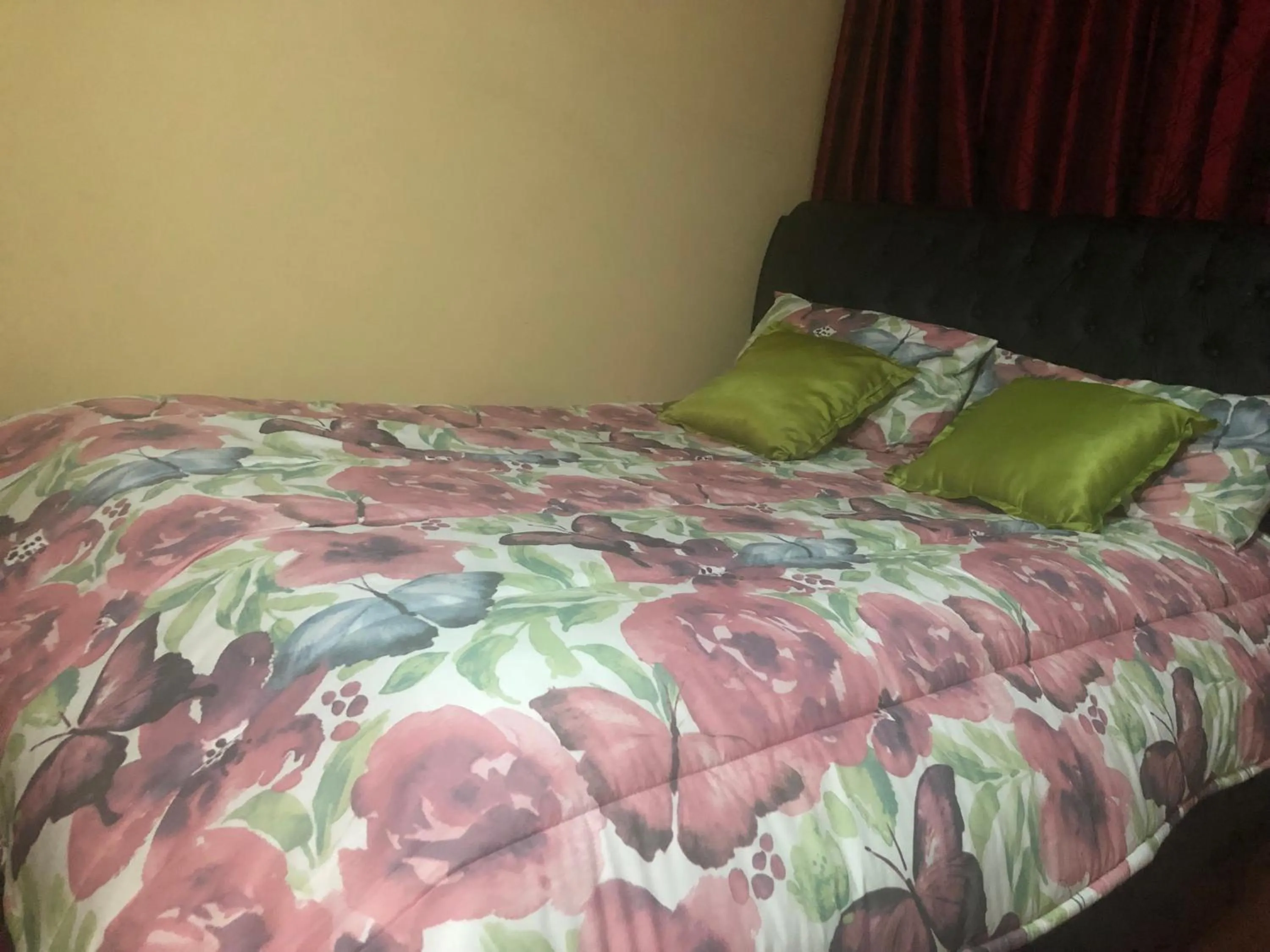 Other in Naomi's Place