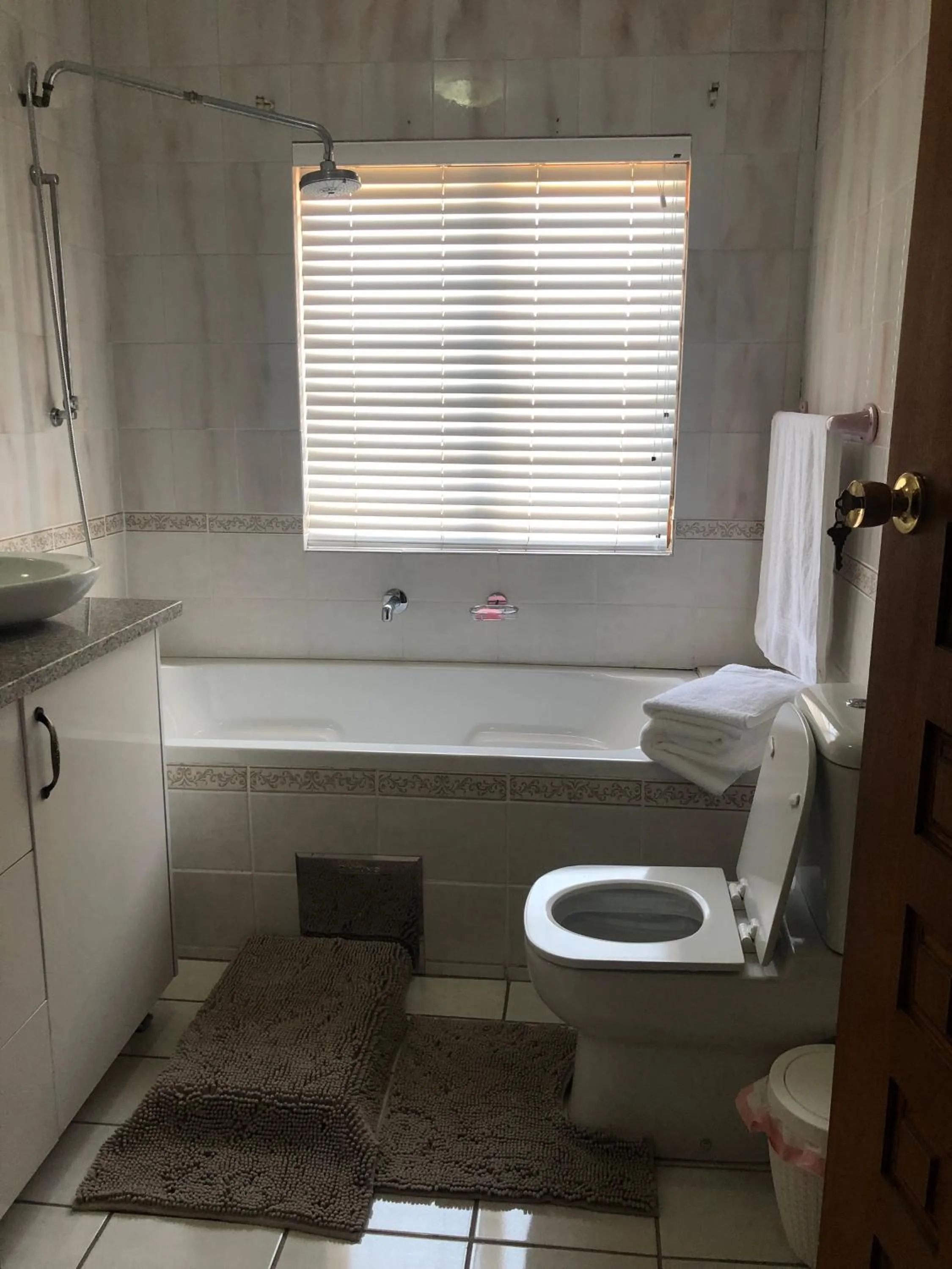 Toilet in Naomi's Place