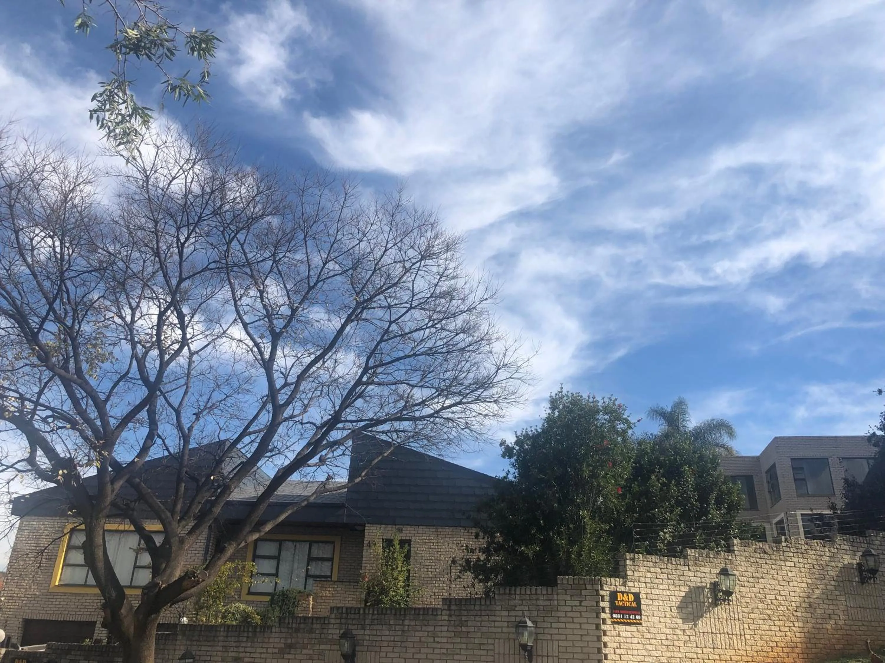 Other in Naomi's Place