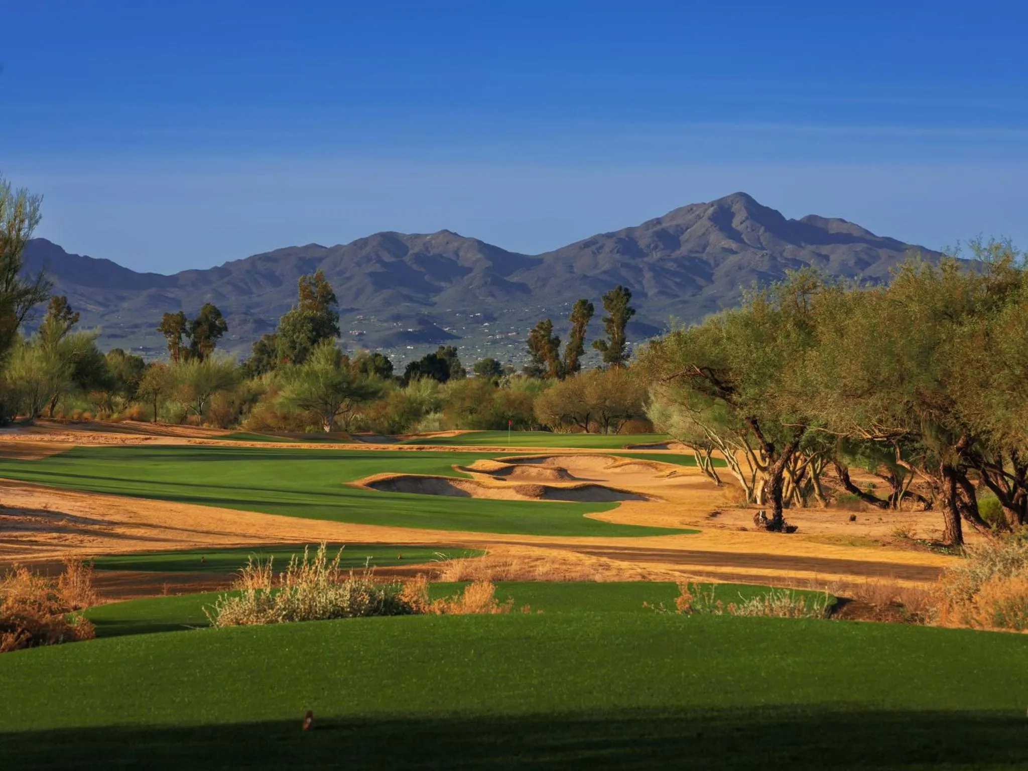 Golfcourse in Omni Tucson National Resort & Spa